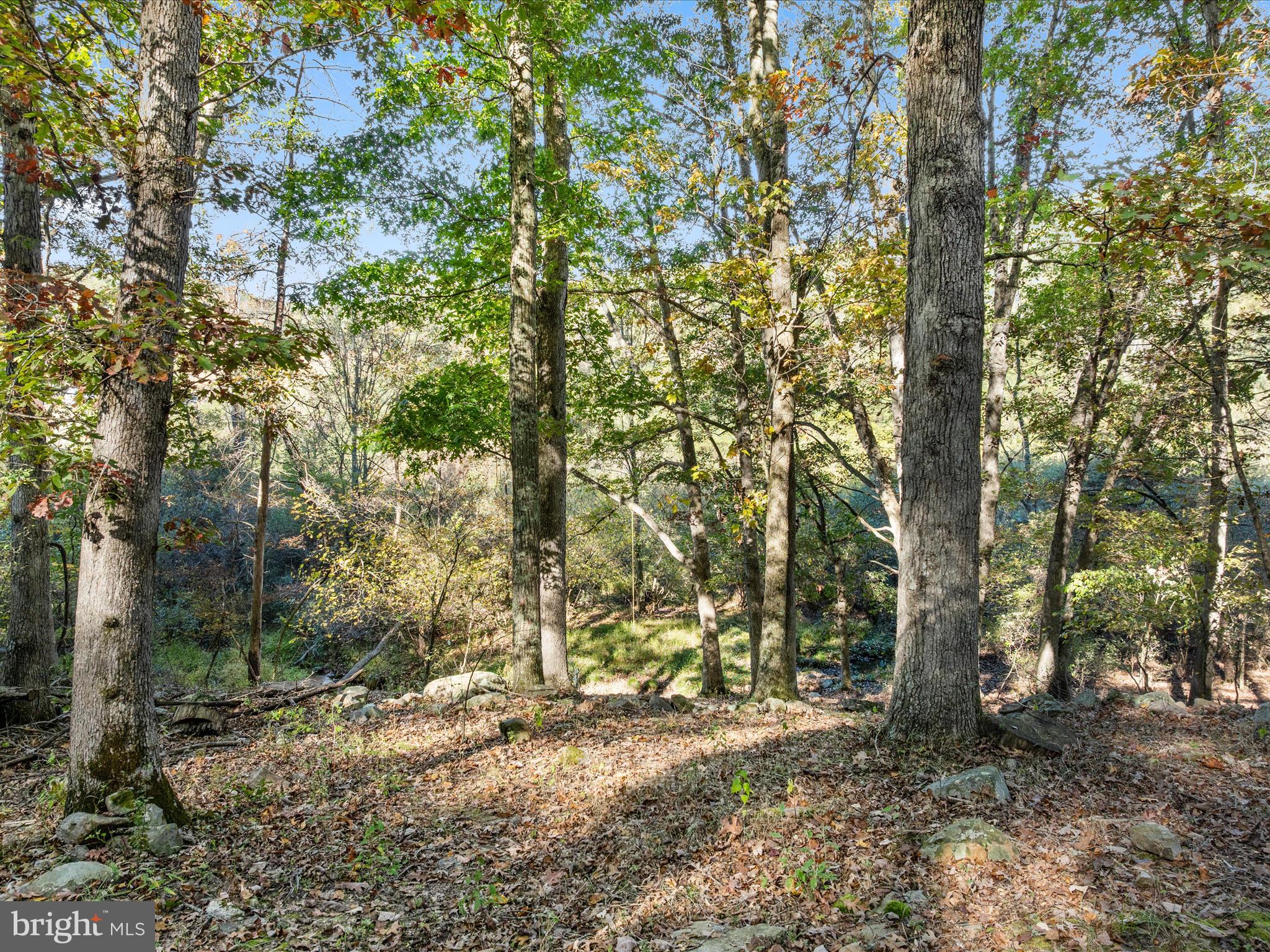 TROUT POND - Residential