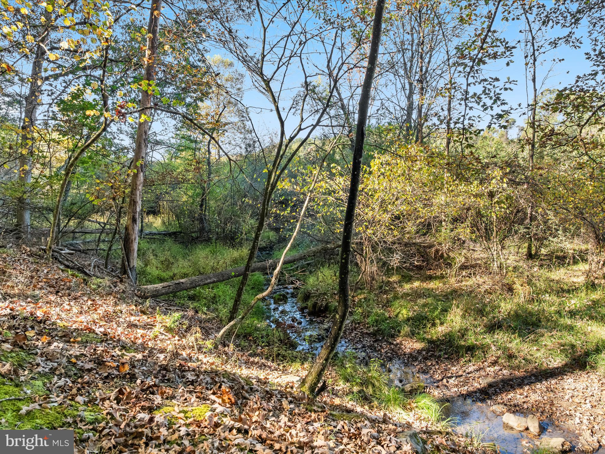TROUT POND - Residential