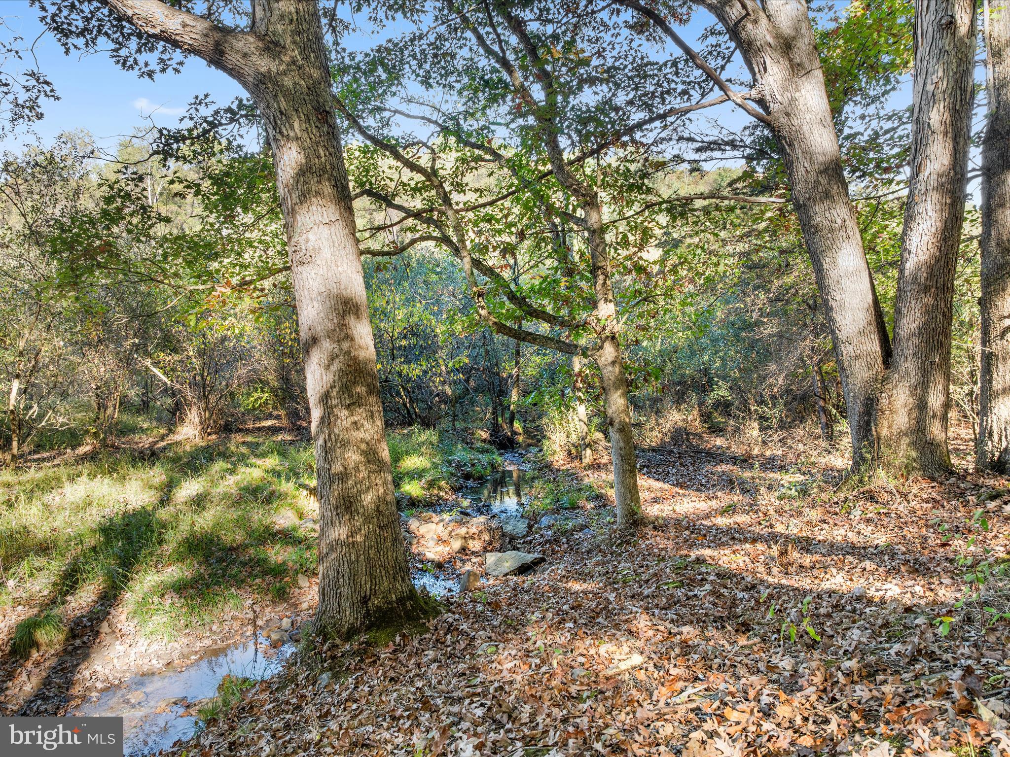 TROUT POND - Residential