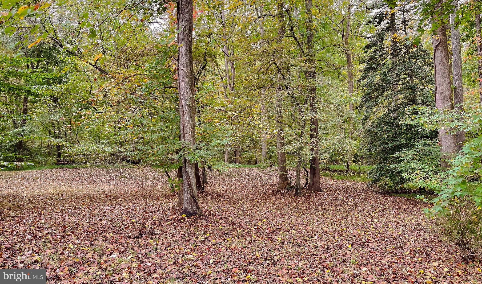 CLARKS RUN - Residential