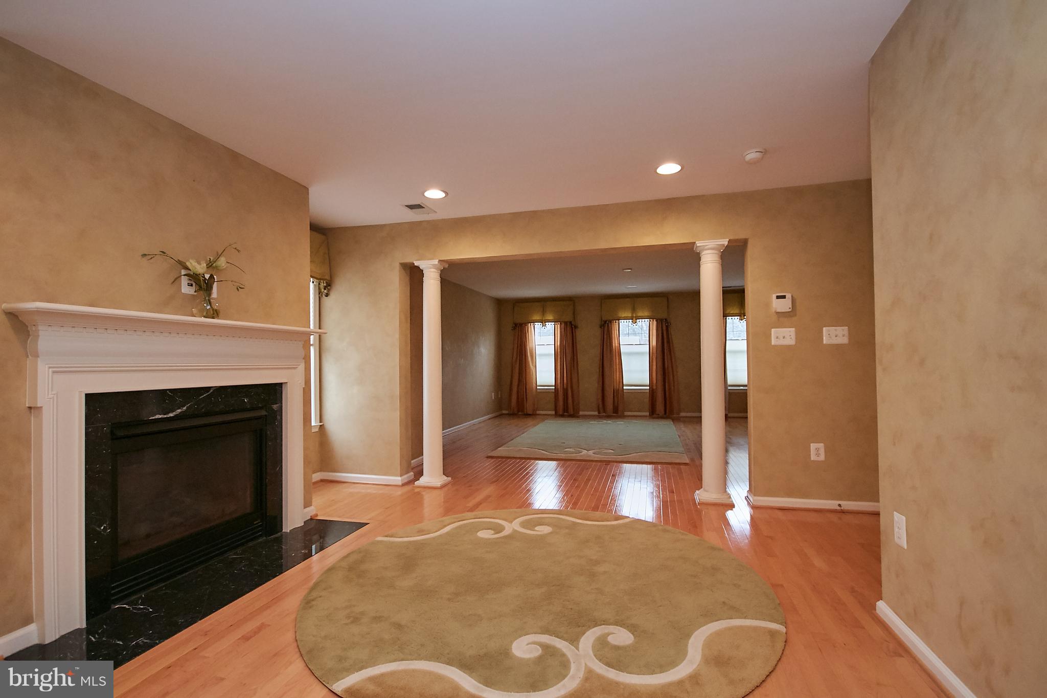 VILLAGE AT MOUNT GILEAD - Residential