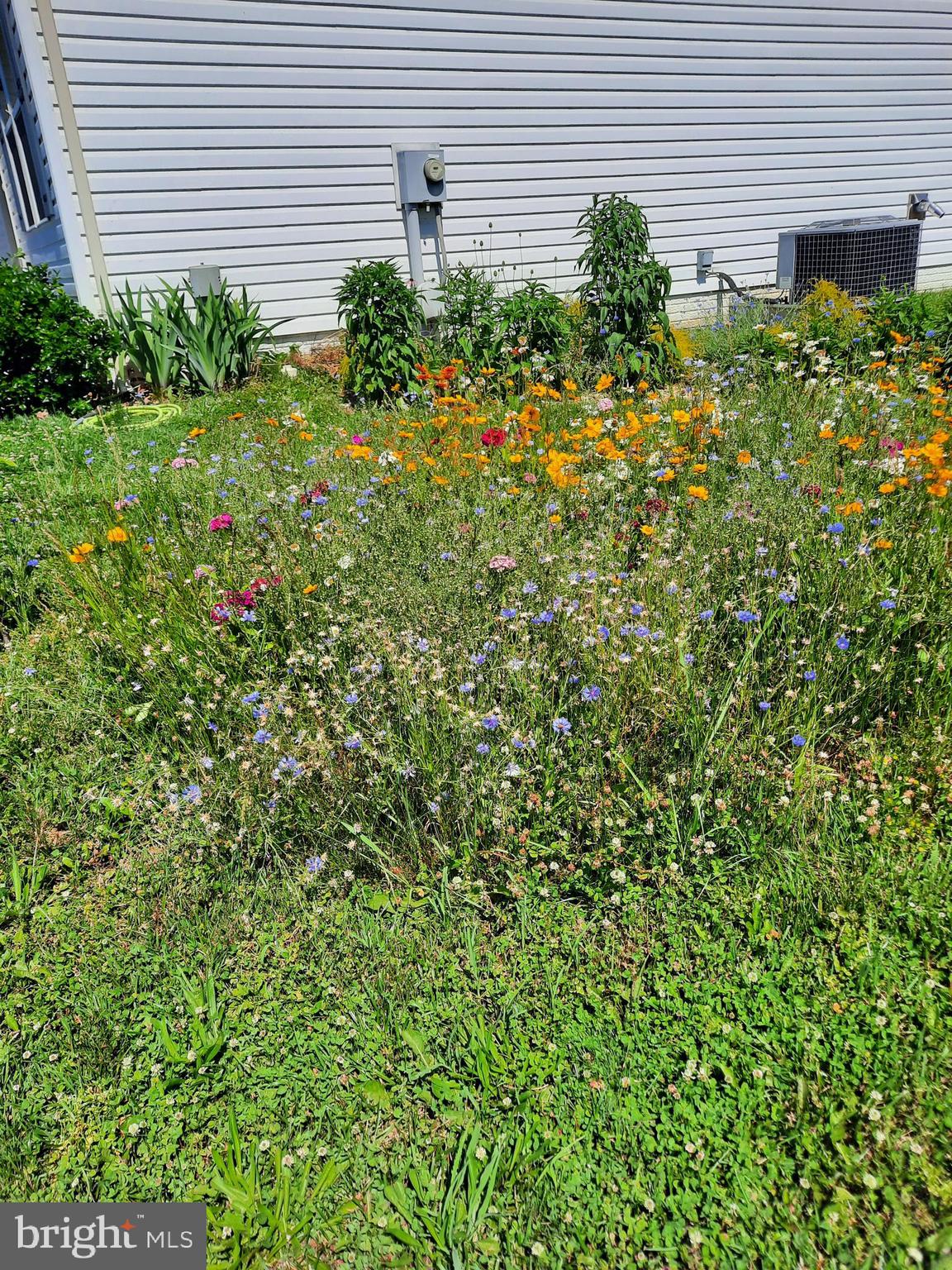 MADDEX FARM - Residential