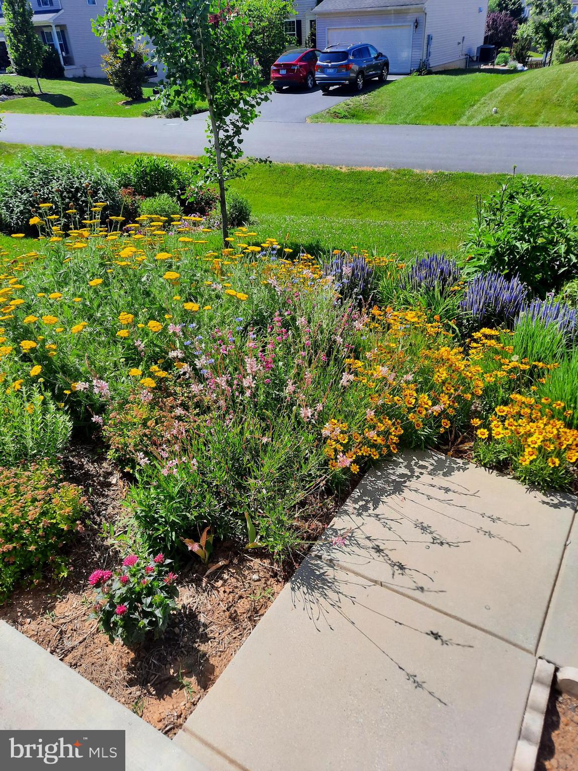 MADDEX FARM - Residential