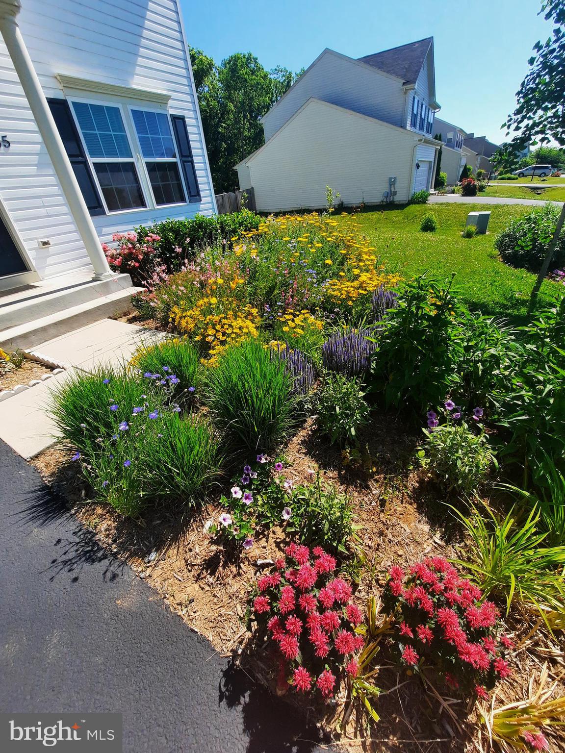 MADDEX FARM - Residential