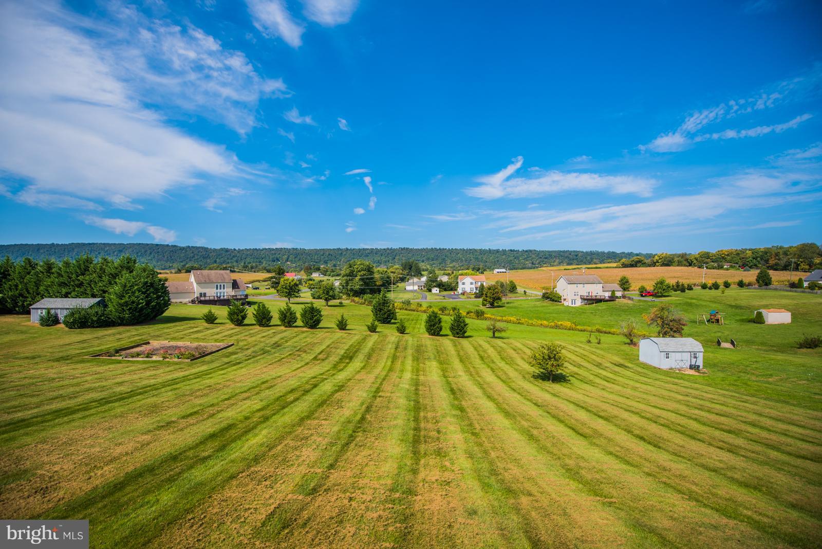 FEDERAL HILL - Residential