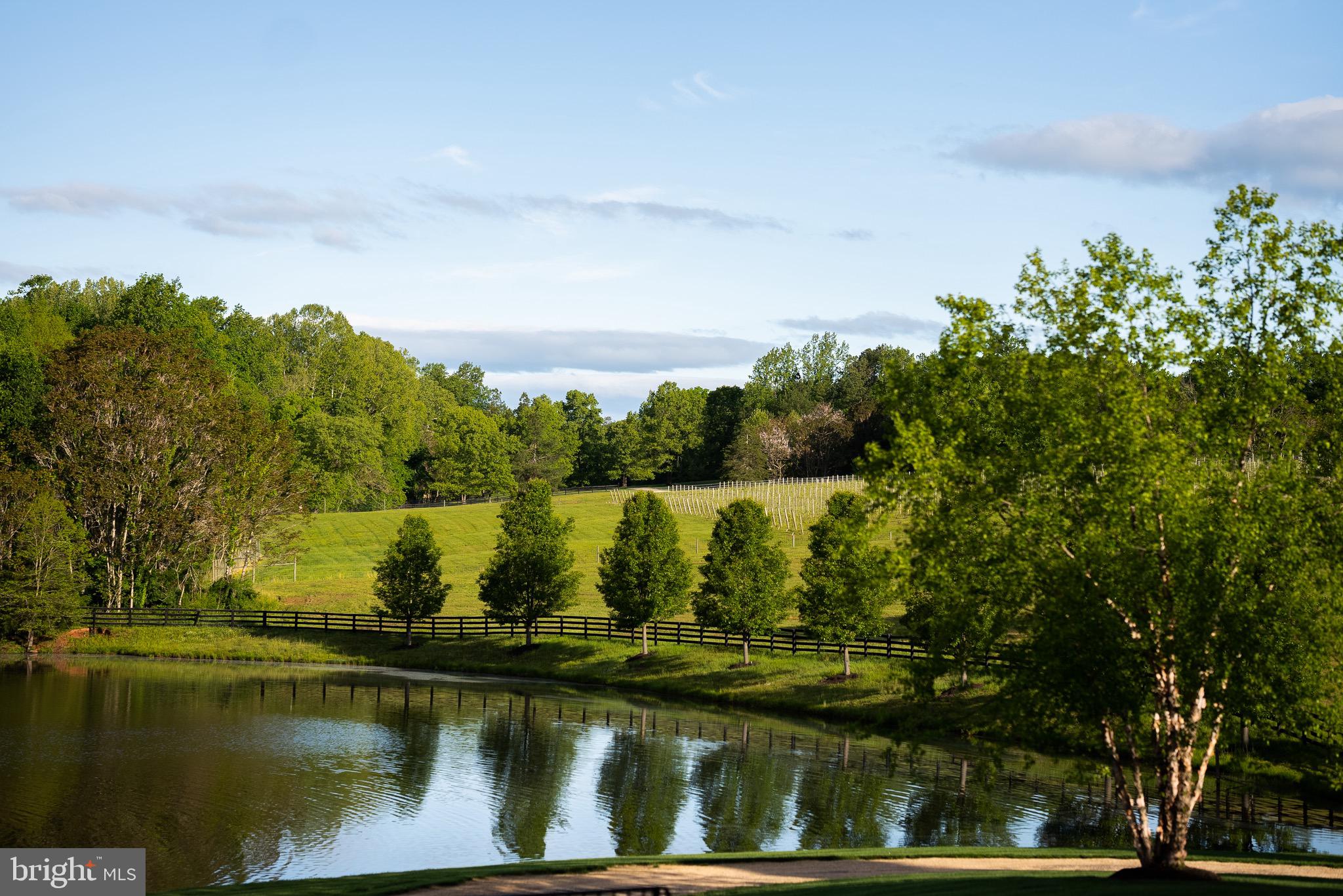 MOUNT IDA - Residential