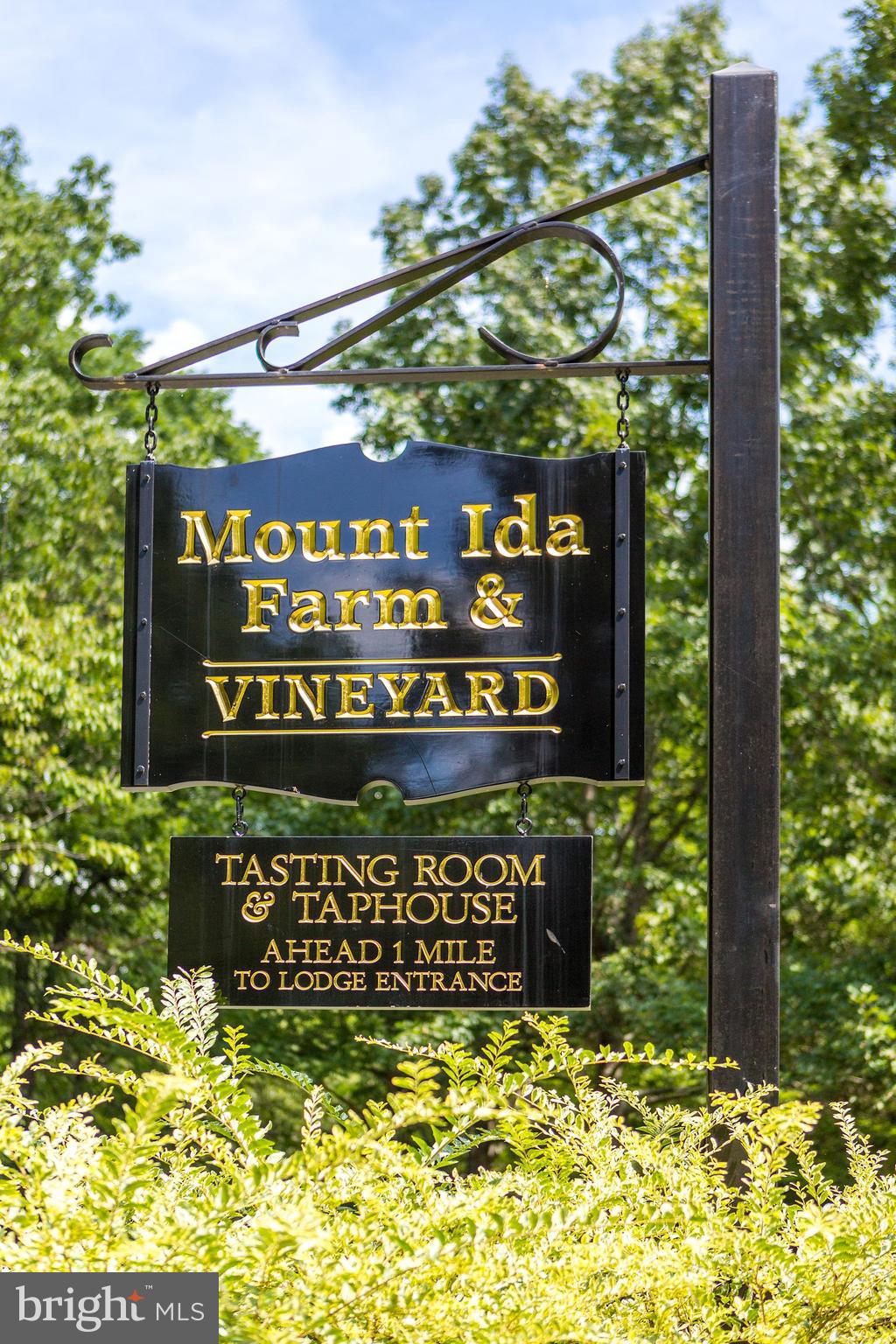 MOUNT IDA - Residential