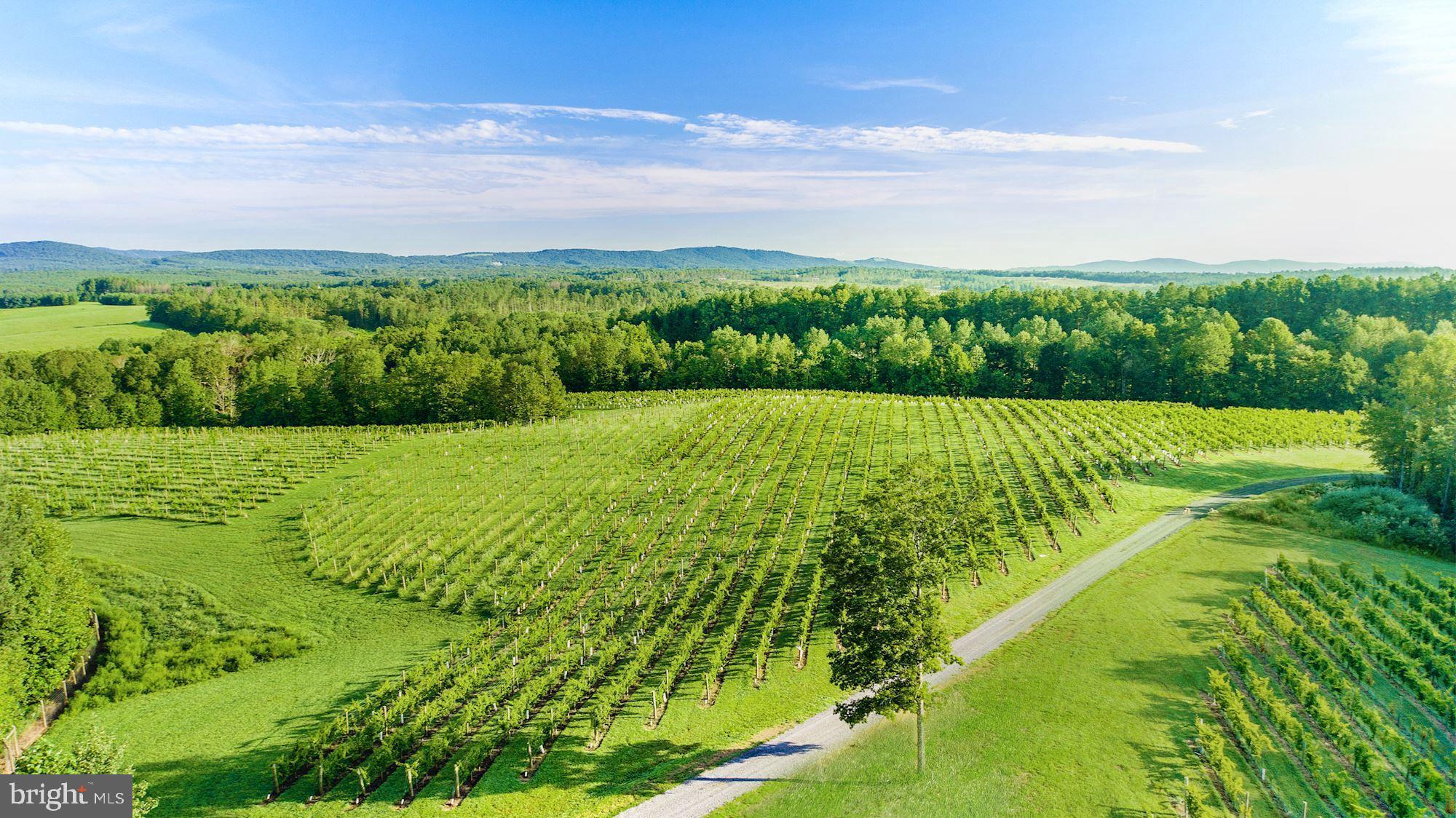 MOUNT IDA - Residential