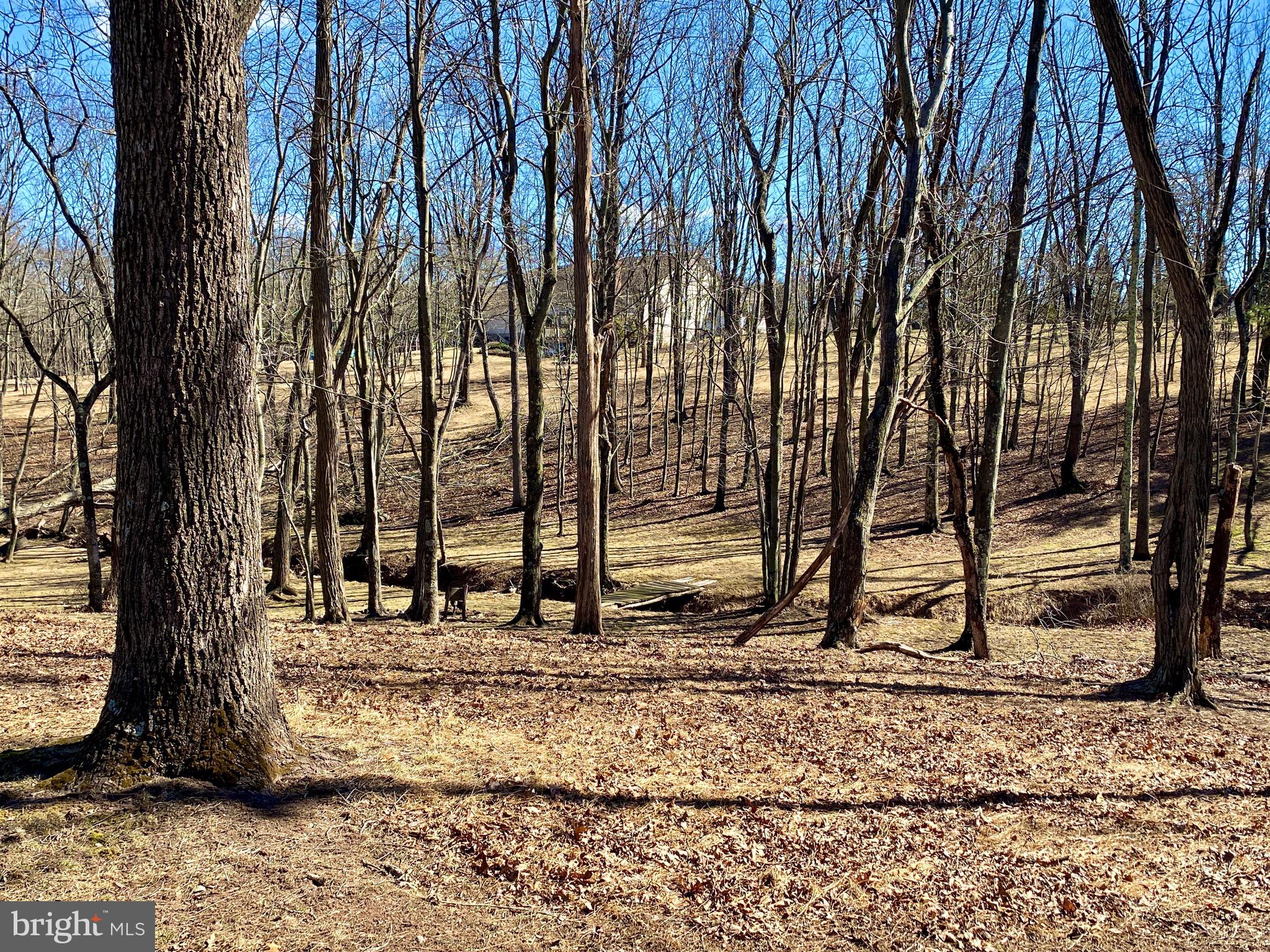 THE MEADOWS AT SLEEPY CREEK - Residential