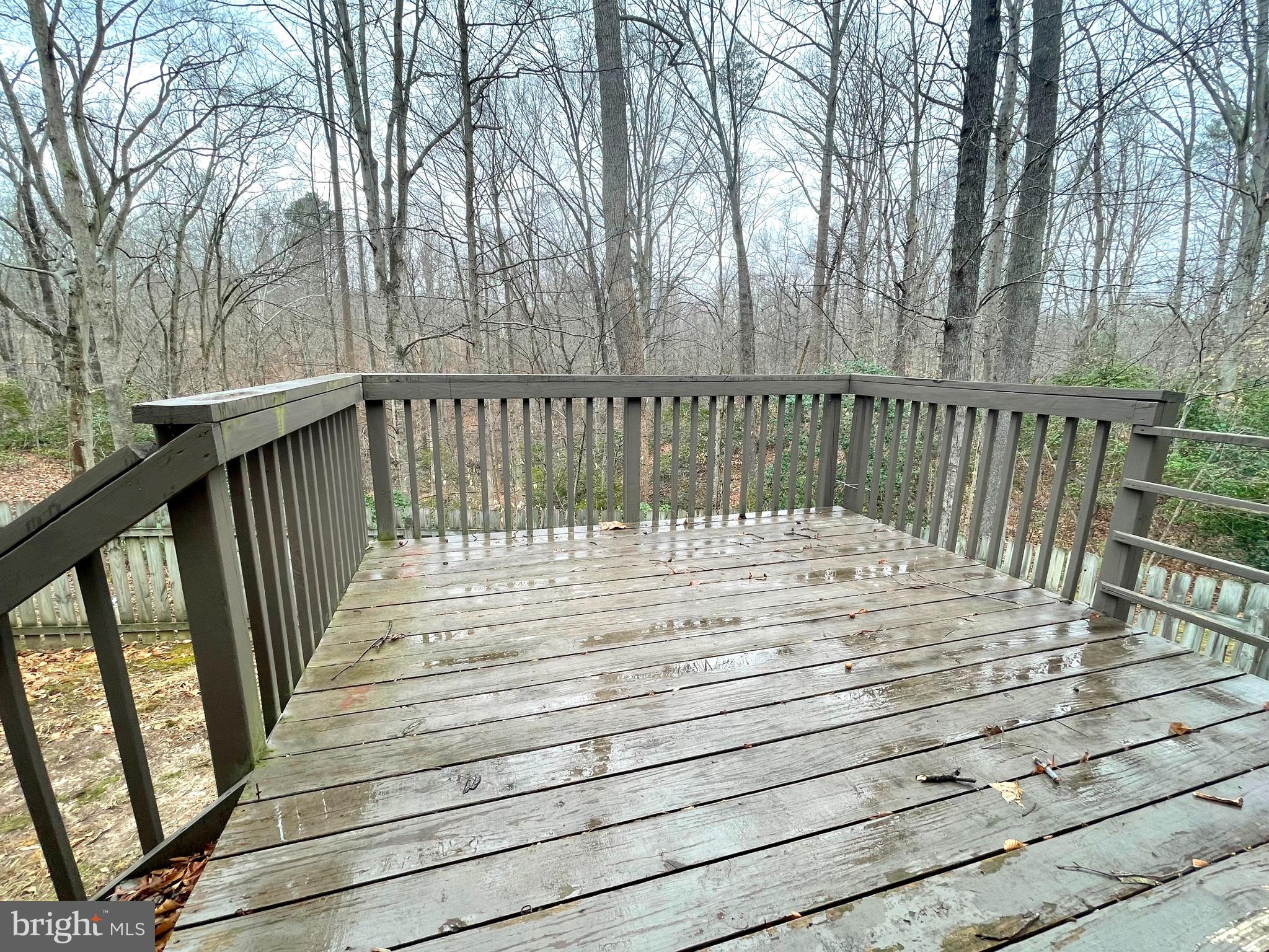 SCARBOROUGH FAIRE - Residential Lease