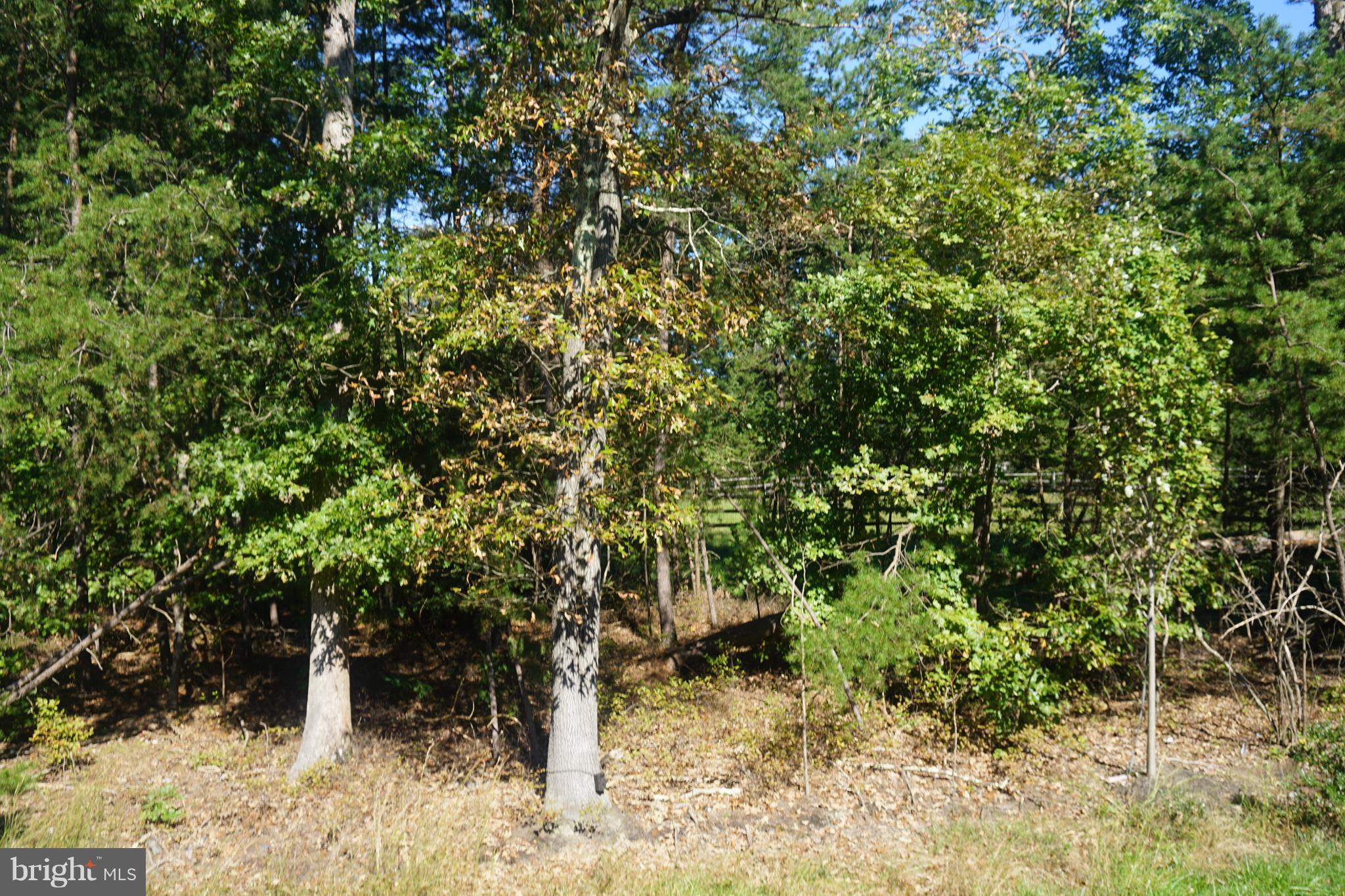 MILLSTONE VILLAGE - Residential