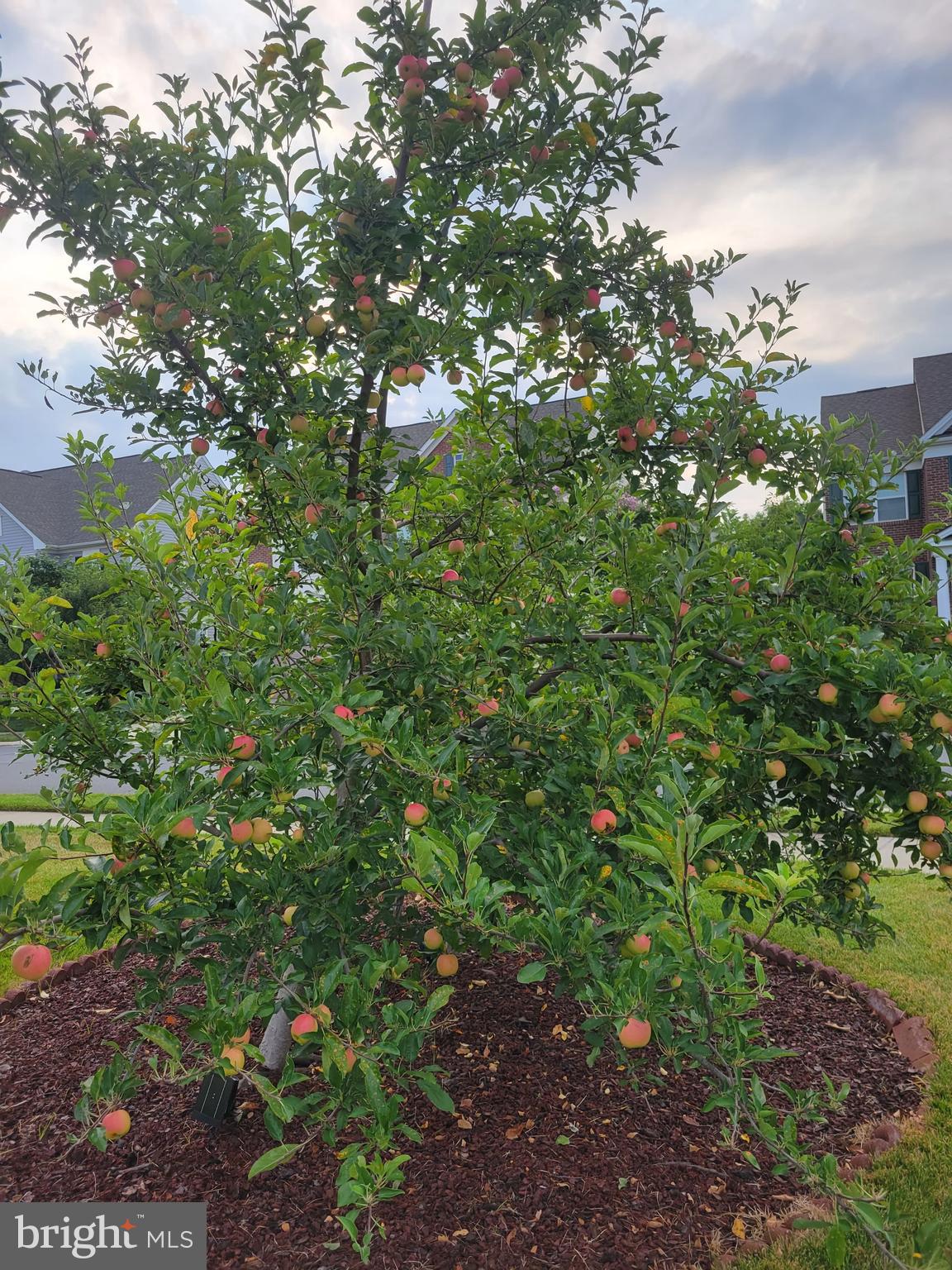 BRAMBLETON - Residential