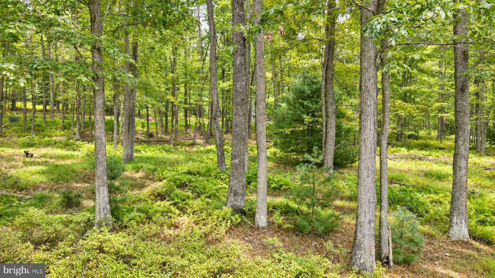 Lot 12 POLAND HEIGHTS LANE