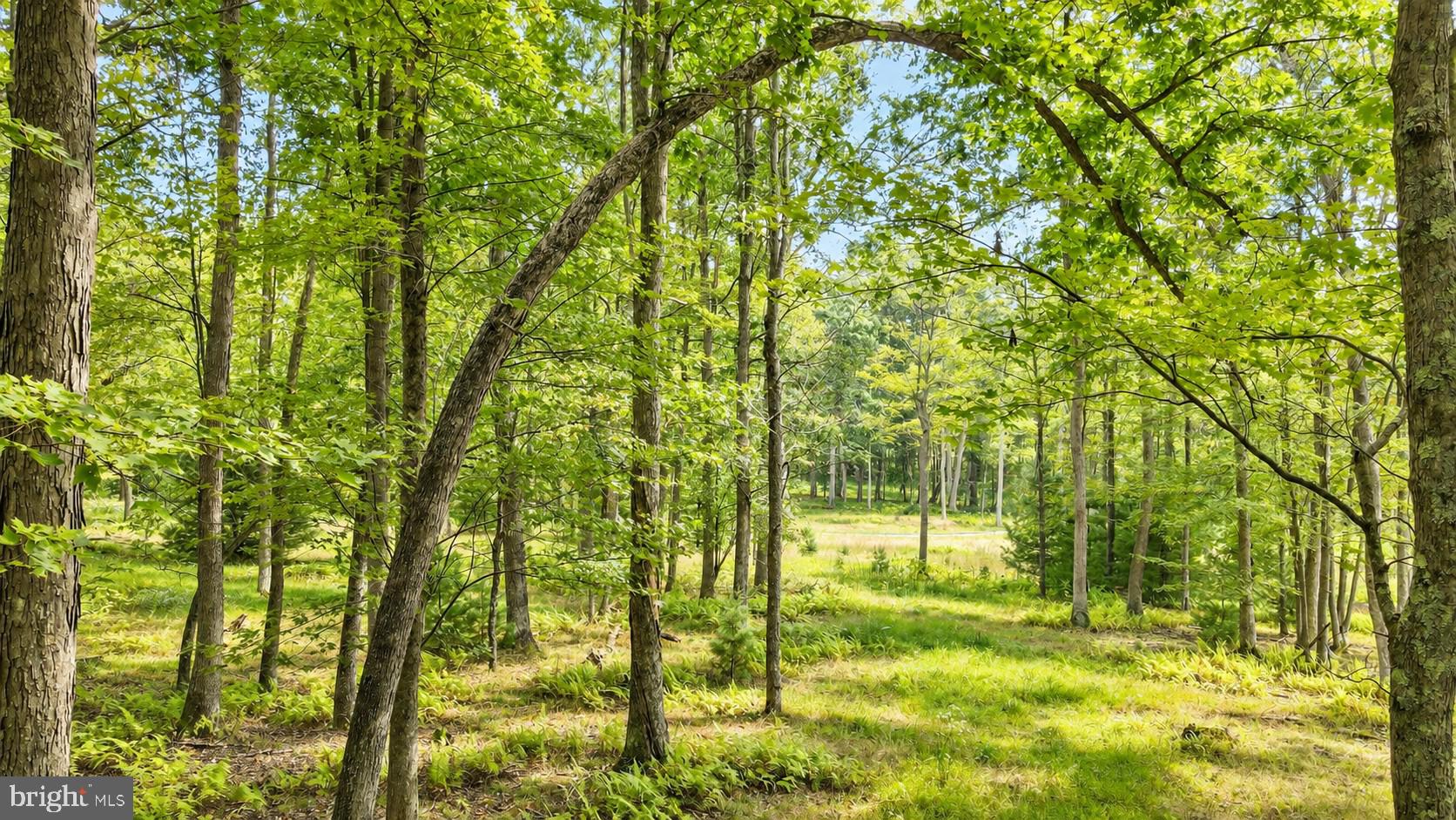 Lot 12 POLAND HEIGHTS LANE