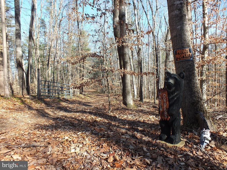 Priced to sell (2017 assessed $261,000). A road to a newly cut area very open for an ideal building site. You will experience the quite, only birds and wildlife, mountain laurel and running pine. It is large enough to be a good place to hunt. Superior land for a get away/private home. Convenient to Culpeper, Sperryville, Madison, Castelton events, National Parks. Great deal. Shed conveys as is.