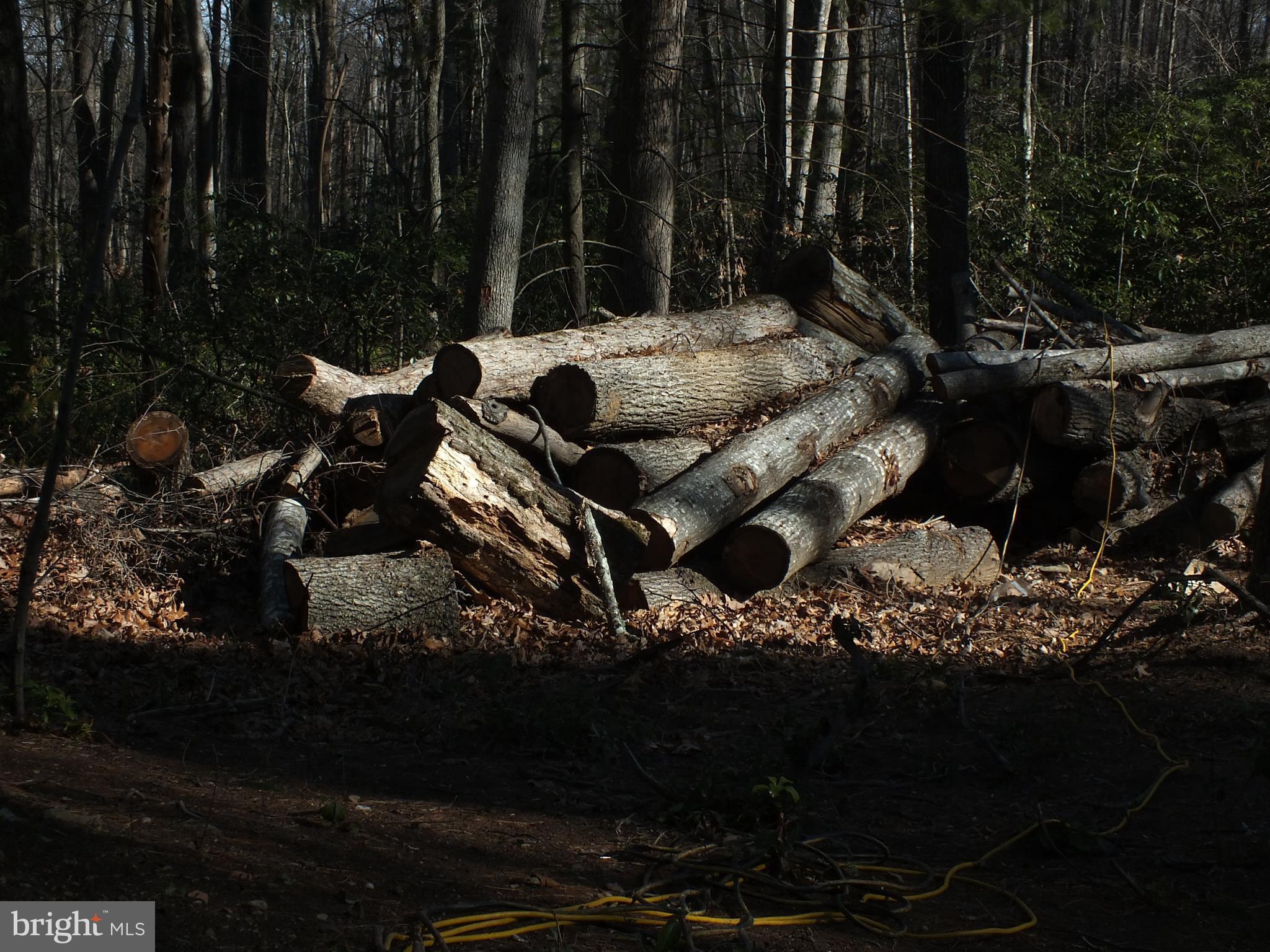 NONE AVAILABLE - Land