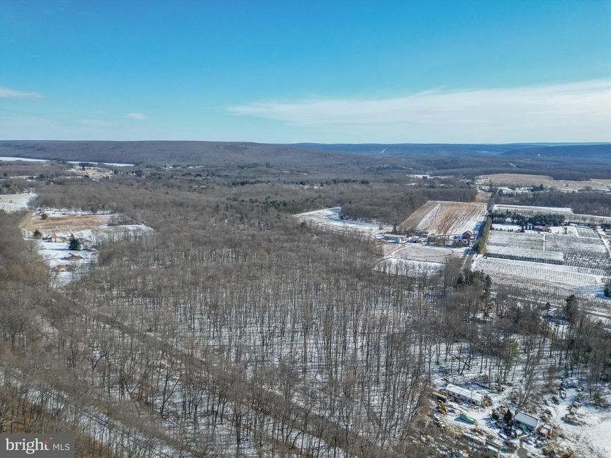 This 28 acres in the village of Quakake is a once in a generation find.  It is  a mostly wooded, level plot that offers many possibilities.  Located just off routes 309 and 81,  this land offers privacy with luxury of being close to everything!  The location is an easy commute to points north (Hazleton/Wilkes-Barre) and points south (Lehigh Valley).  Schedule your tour today!!