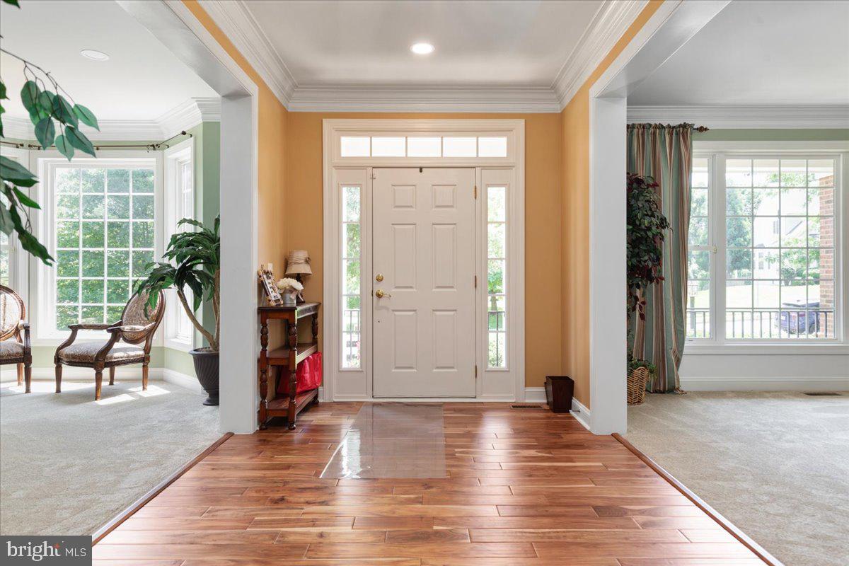 519 CARDINAL LANE