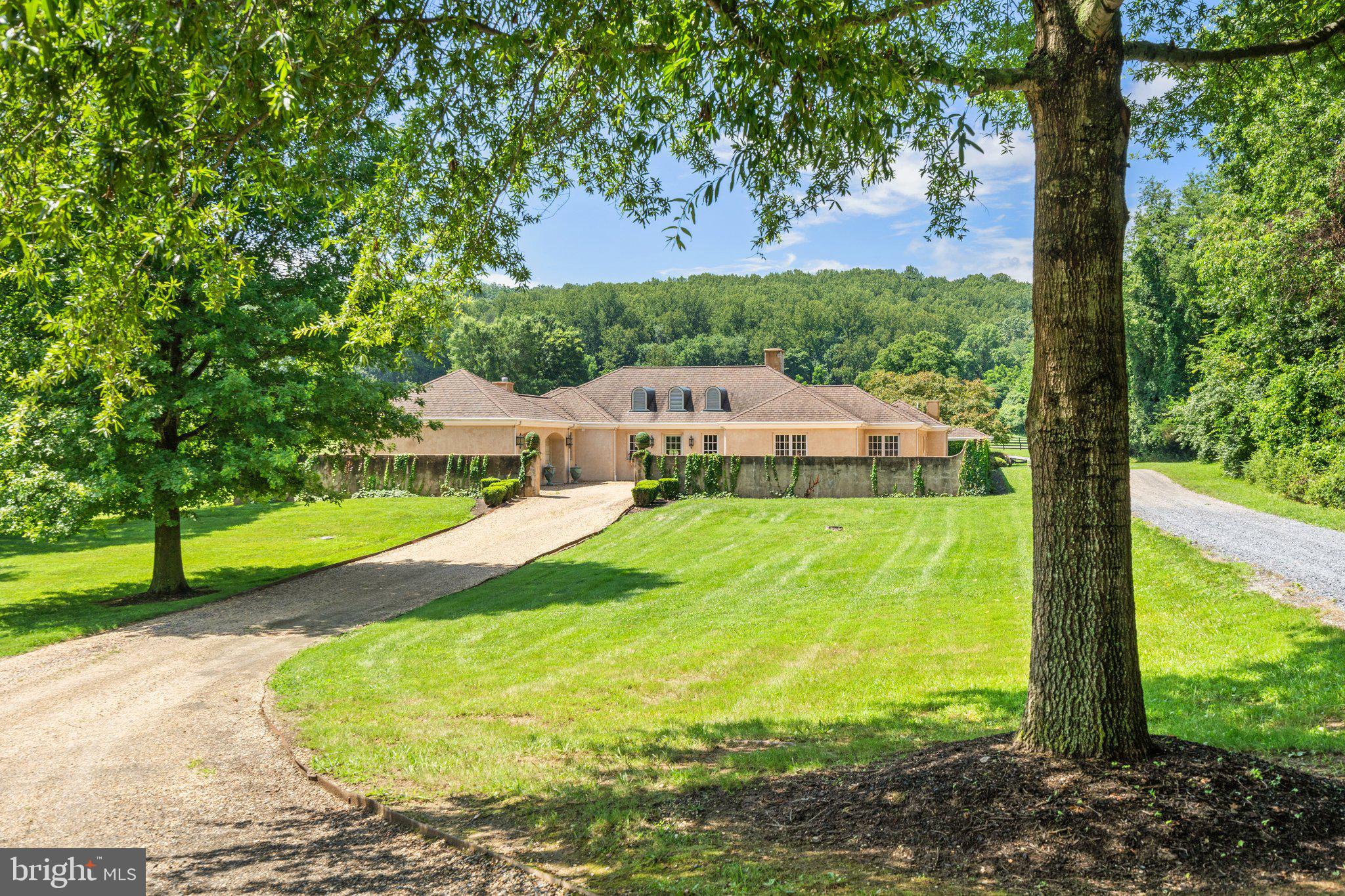 6289 COON TREE ROAD