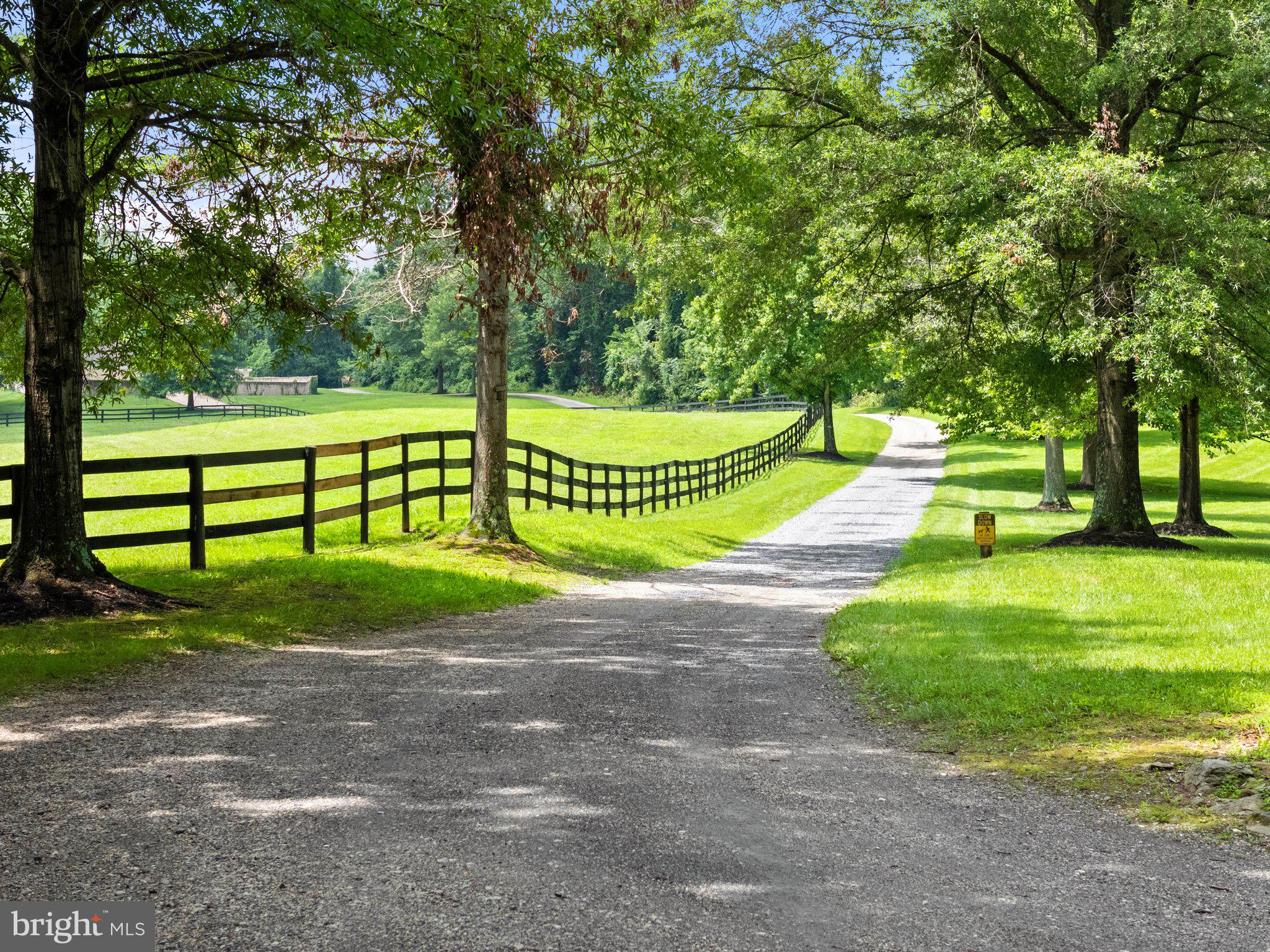 6289 COON TREE ROAD