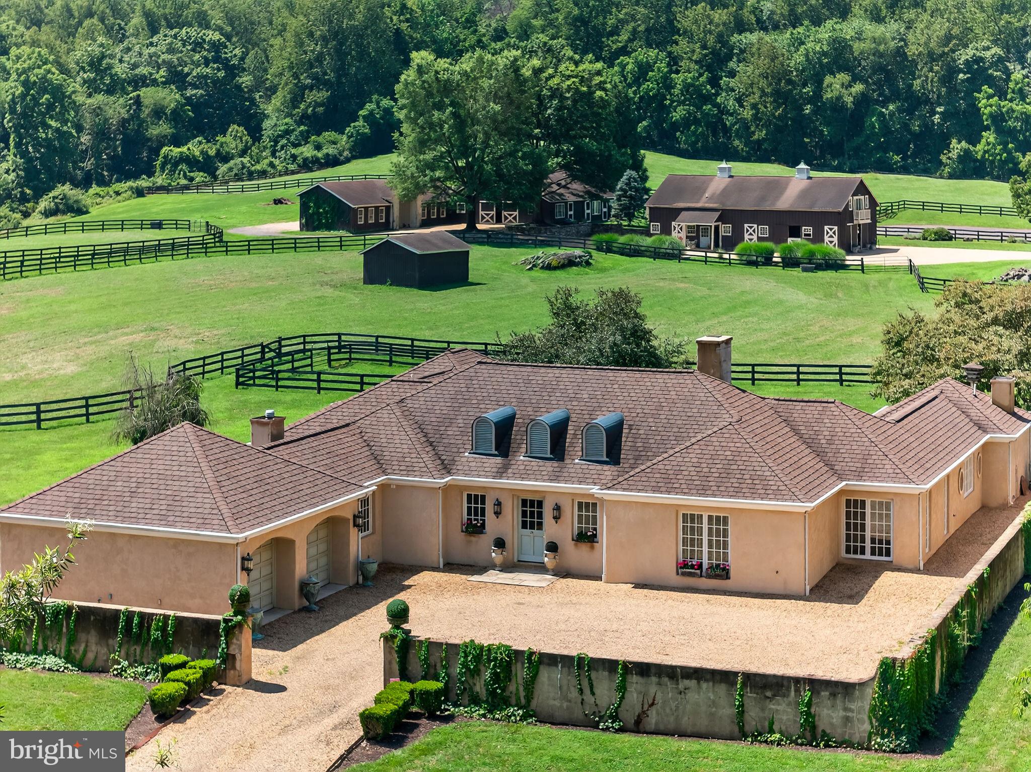 6289 COON TREE ROAD
