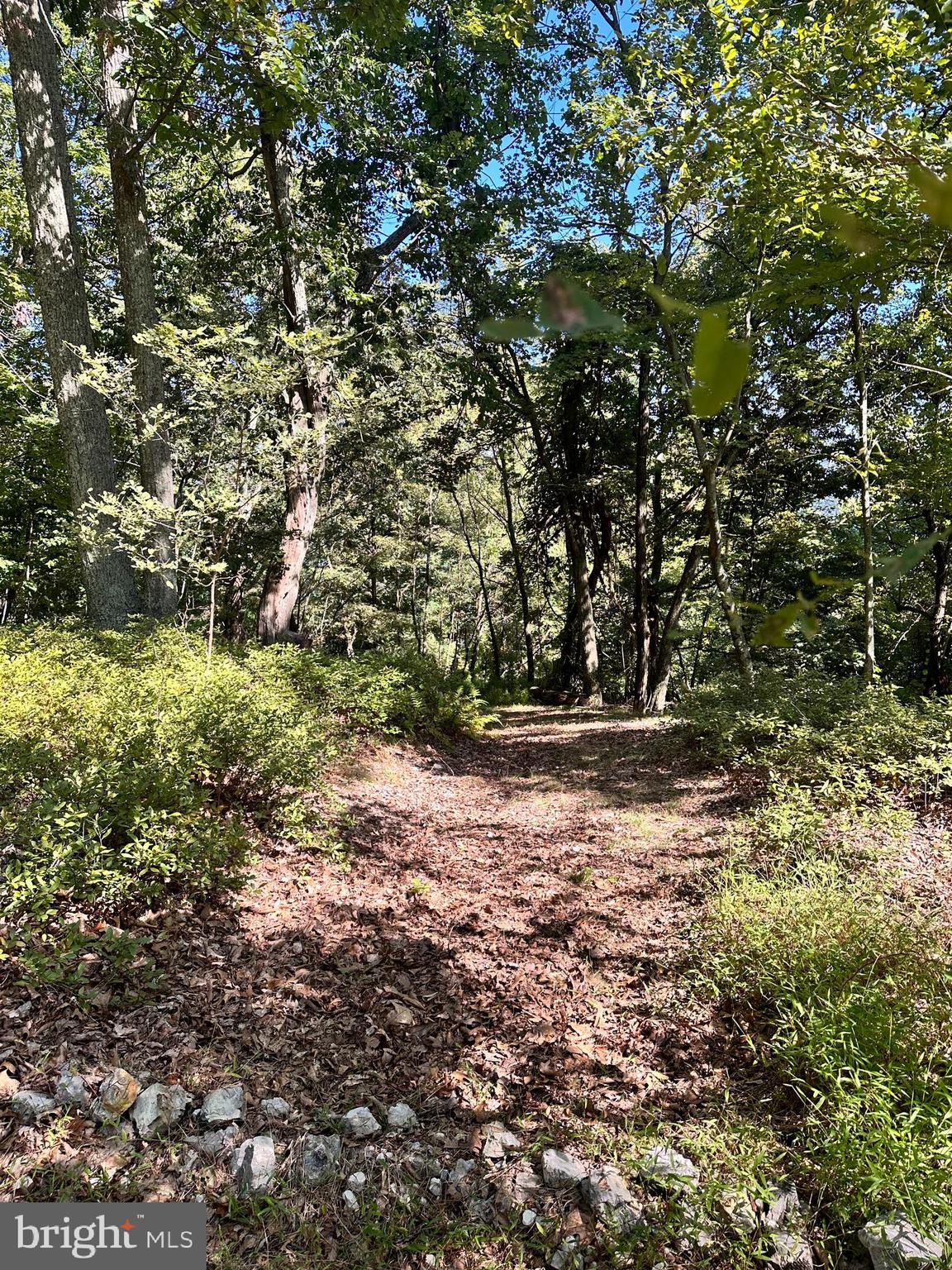 HIGH KNOB/OLD FIELDS OWNERS ASSOC. - Residential