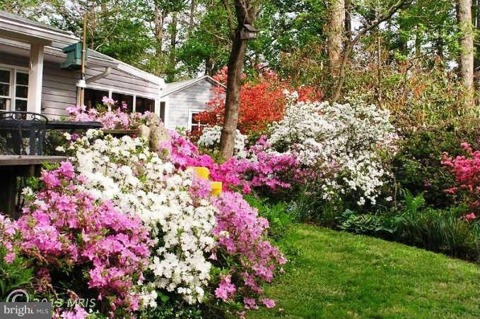 POTOMAC HILLS - Residential Lease