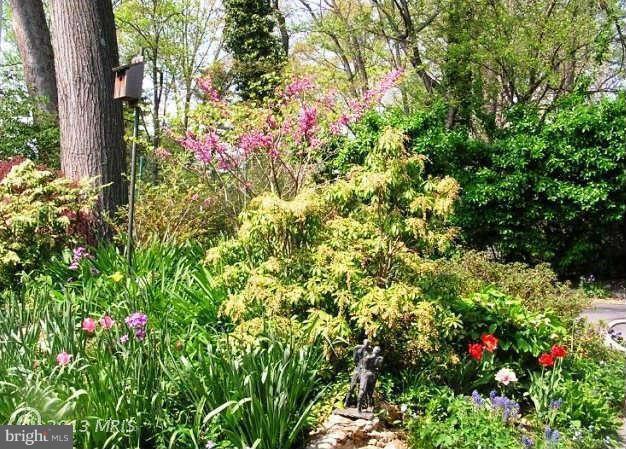 POTOMAC HILLS - Residential Lease