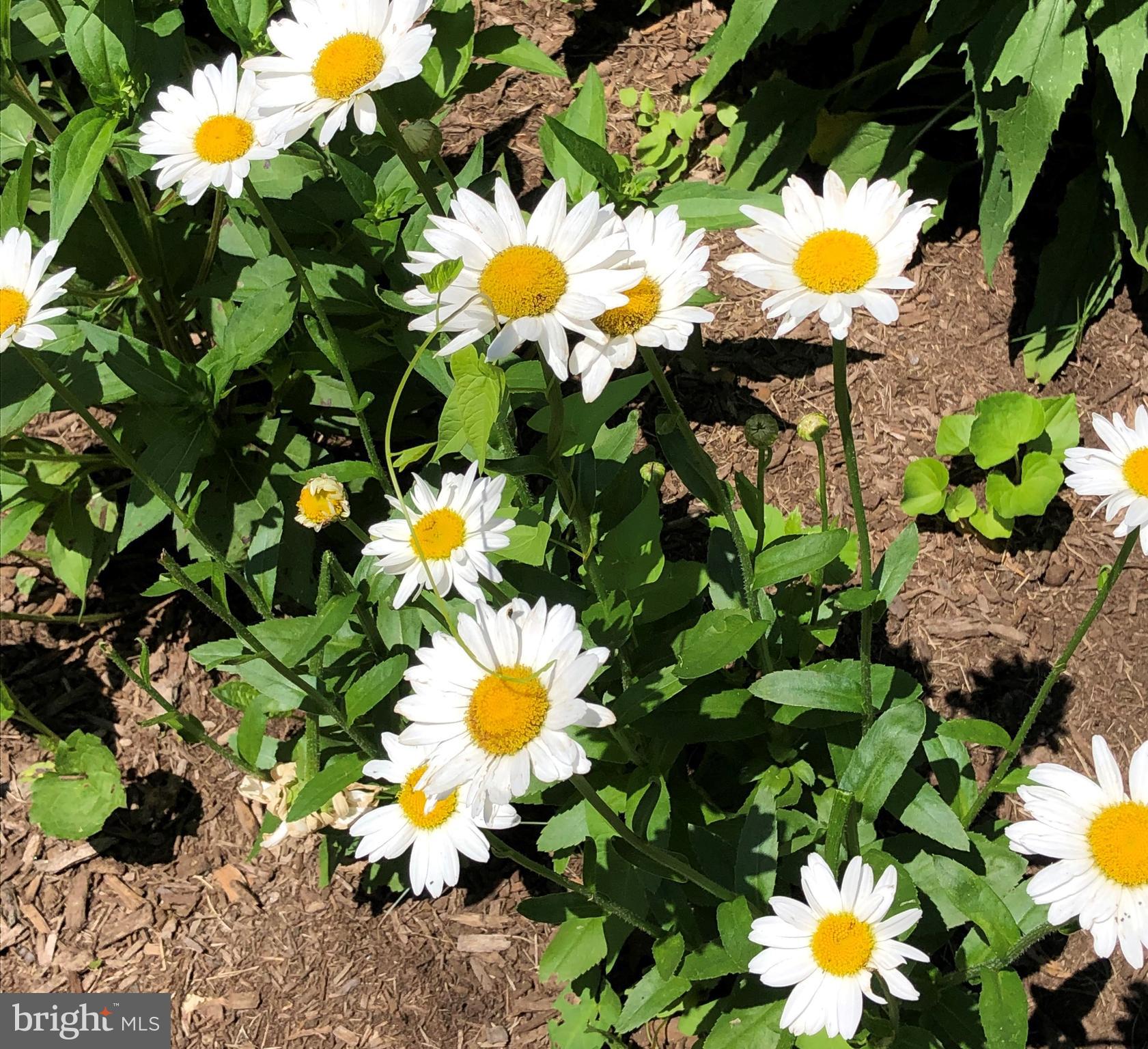 GREATER HOMELAND HISTORIC DISTRICT - Residential