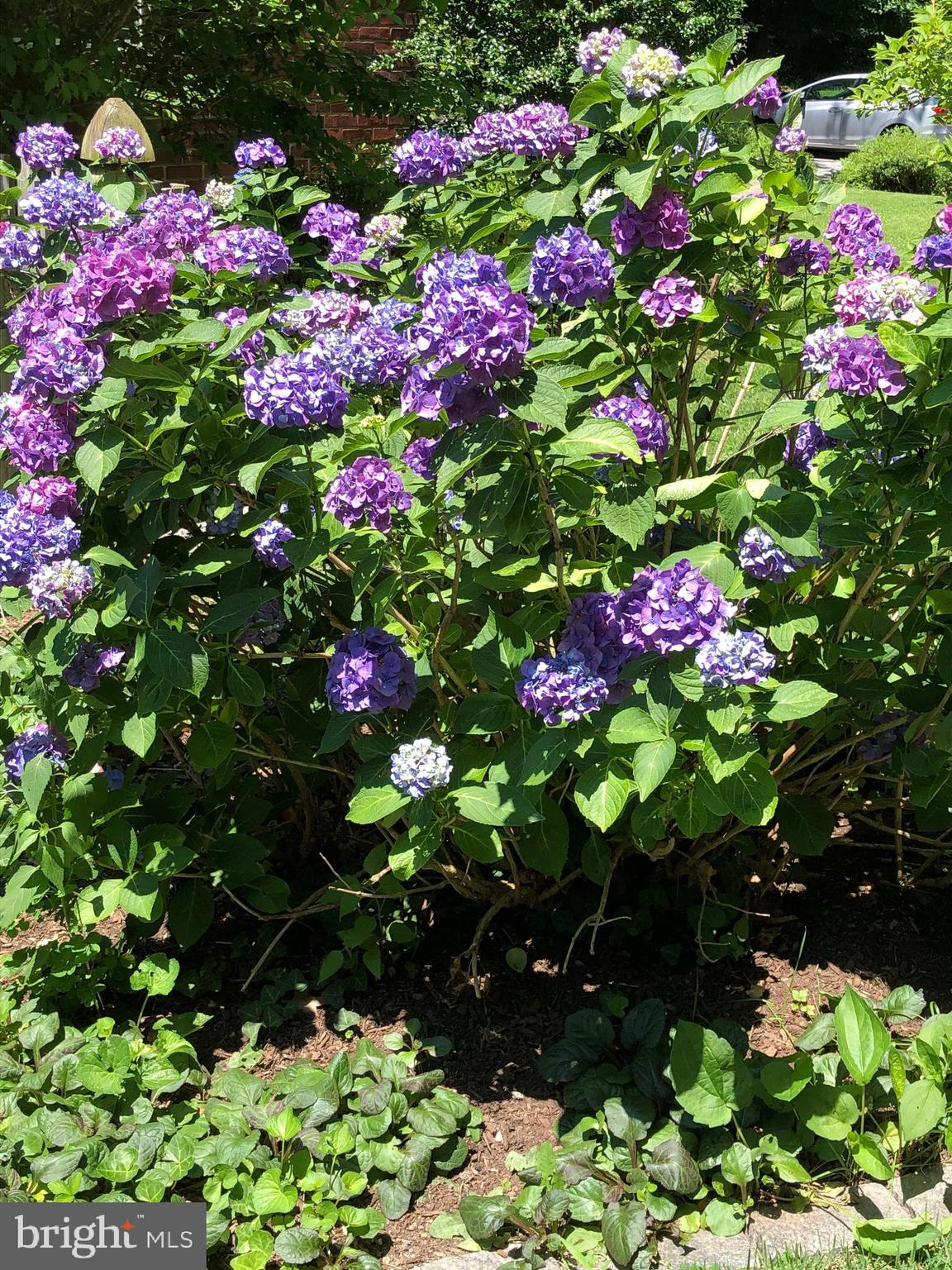 GREATER HOMELAND HISTORIC DISTRICT - Residential