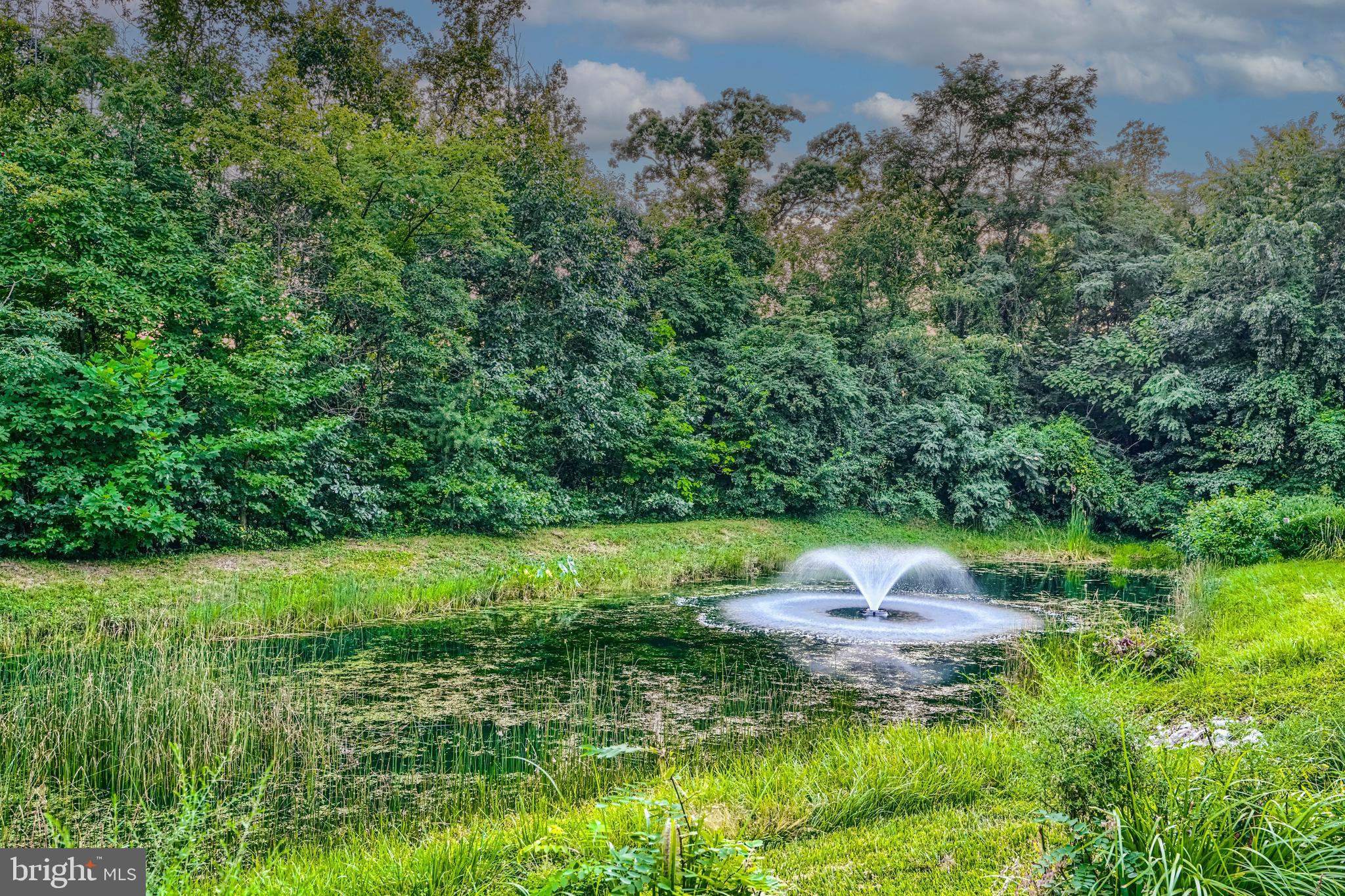 HOPEWELL POINTE - Residential