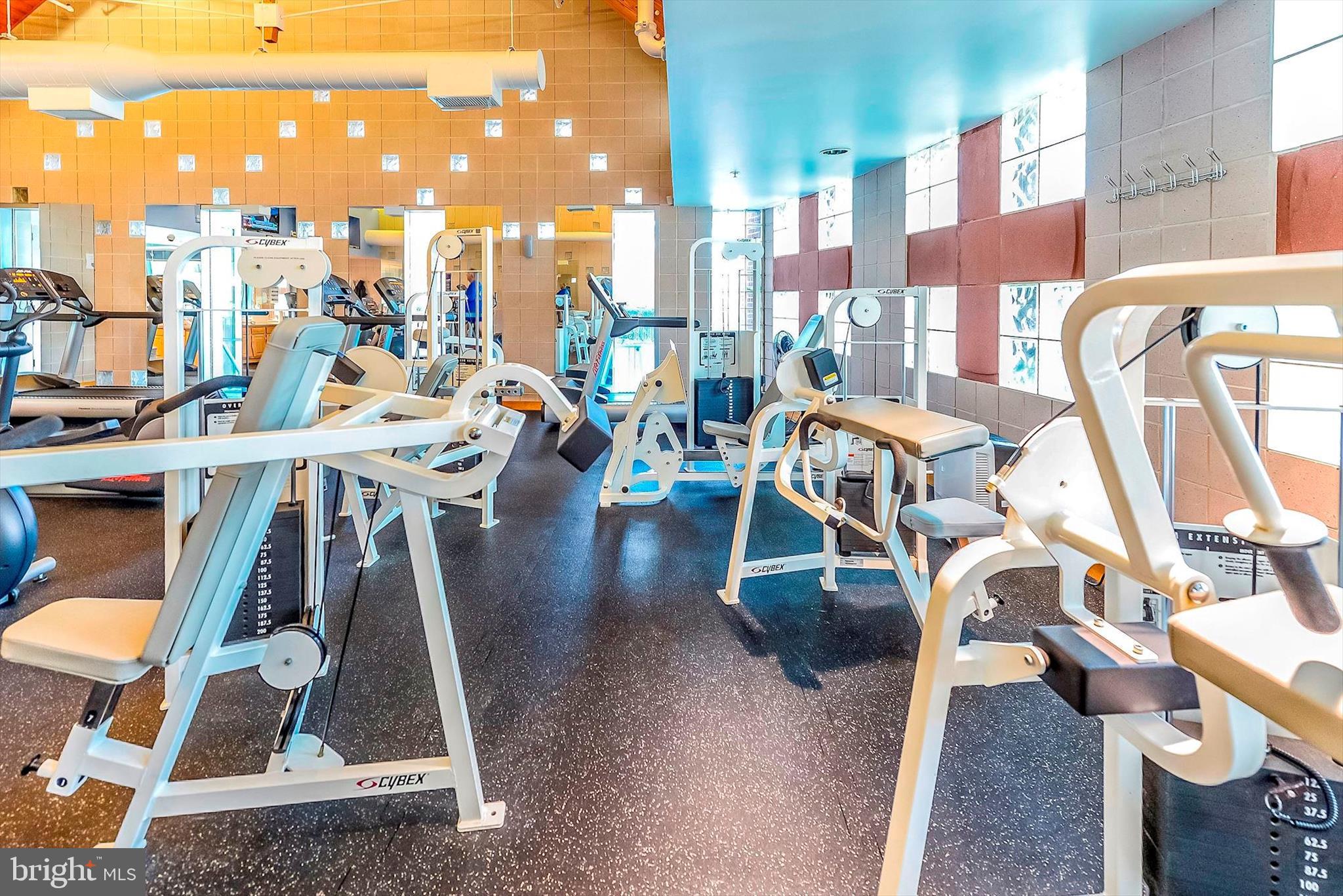 BEAR TRAP - Residential