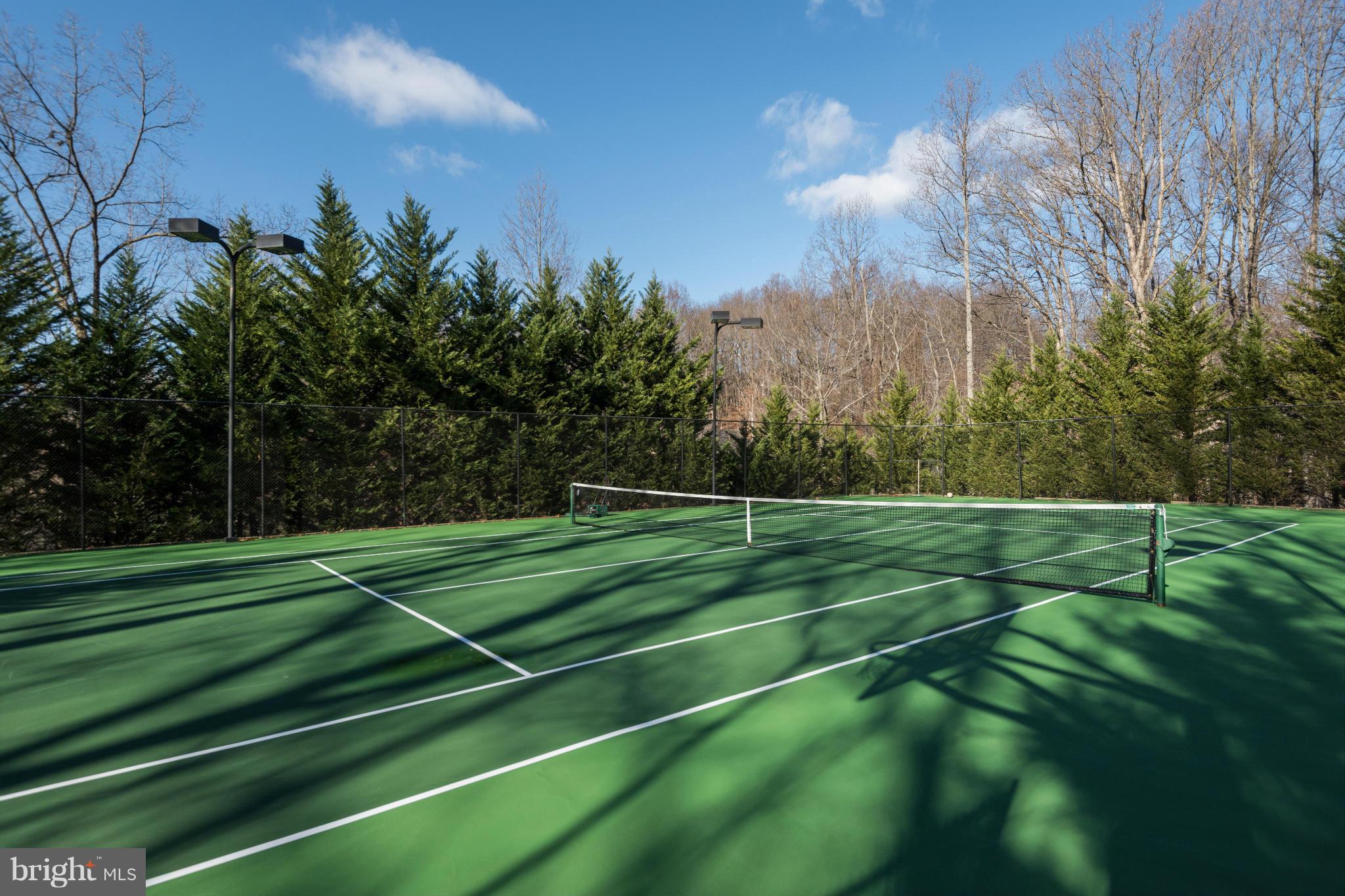 THE PALISADES - Residential