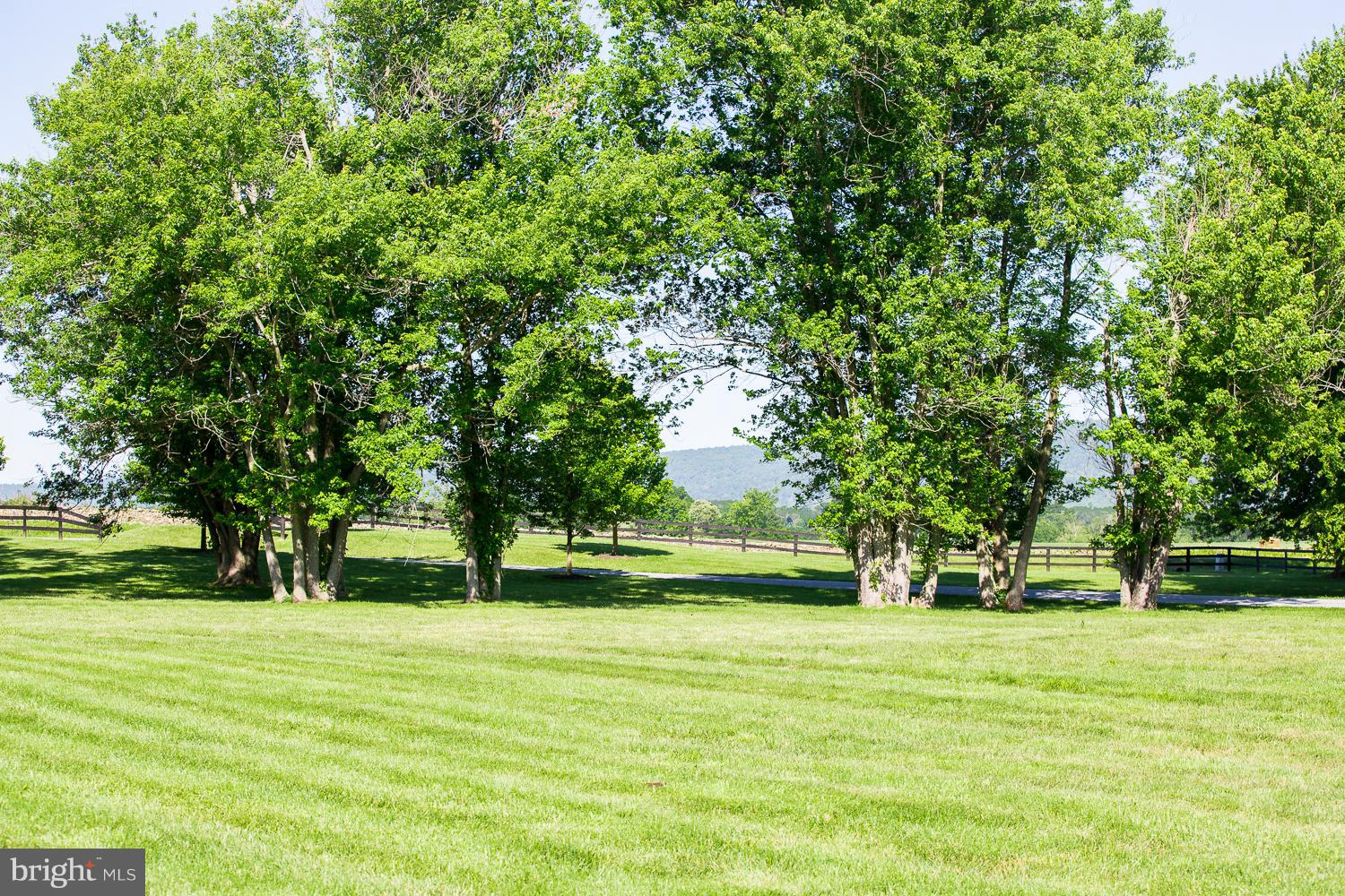 BISHOP - Residential