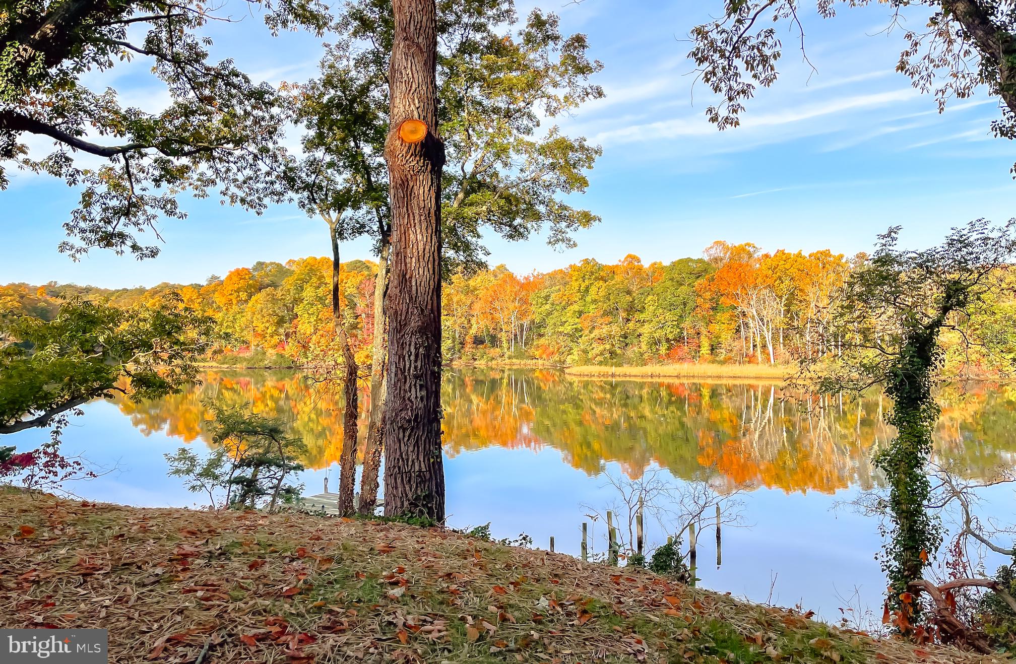 HOLLYWOOD SHORES - Residential