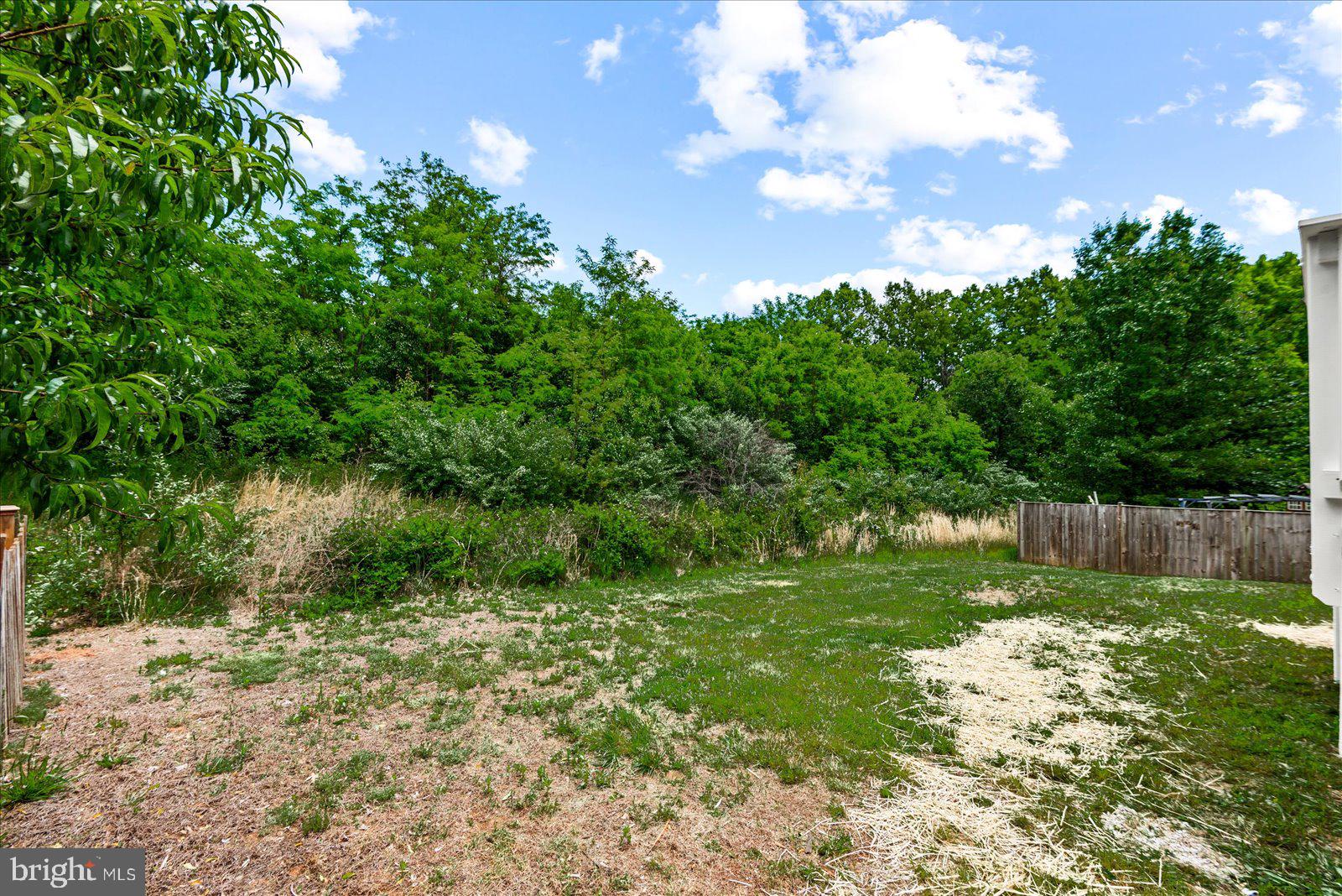 LAKEVIEW OF CULPEPER - Residential