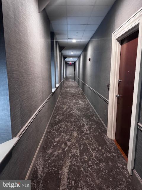 1001-13 CHESTNUT STREET 307