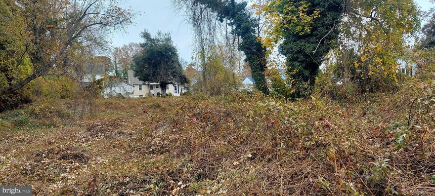 Unique opportunity to develop a 1-lot tract known as Jefferson Terrace within the City of Dover. 
0.34-acre lot. It offers plenty of space and has minimal building restrictions. There is an open entrance to the properties. This property is a 5-minute drive to Dover or the surrounding areas for shopping, restaurants, and activities.  Come and build your dream home!
Buyers should do their due diligence.