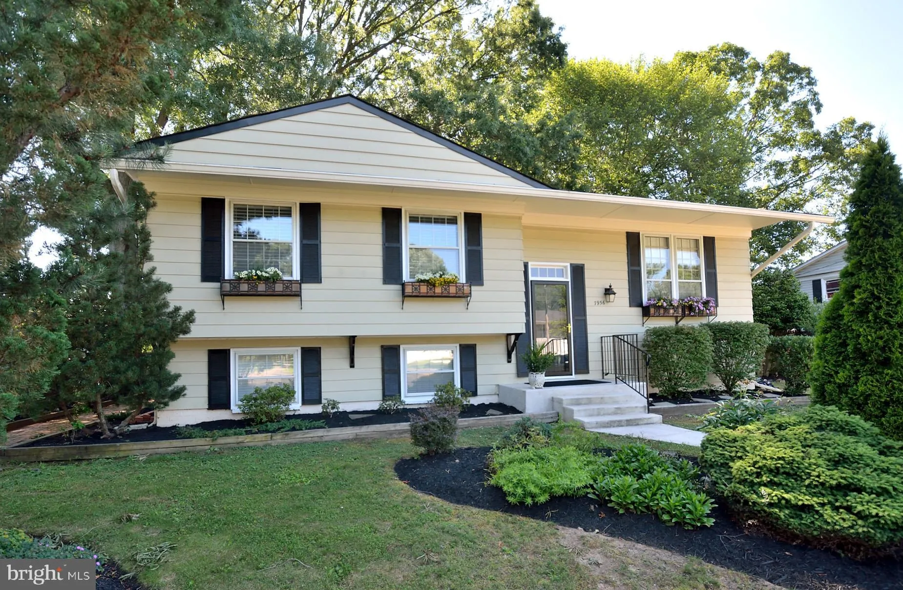 7956 Hammond Street, Alexandria, VA 22309