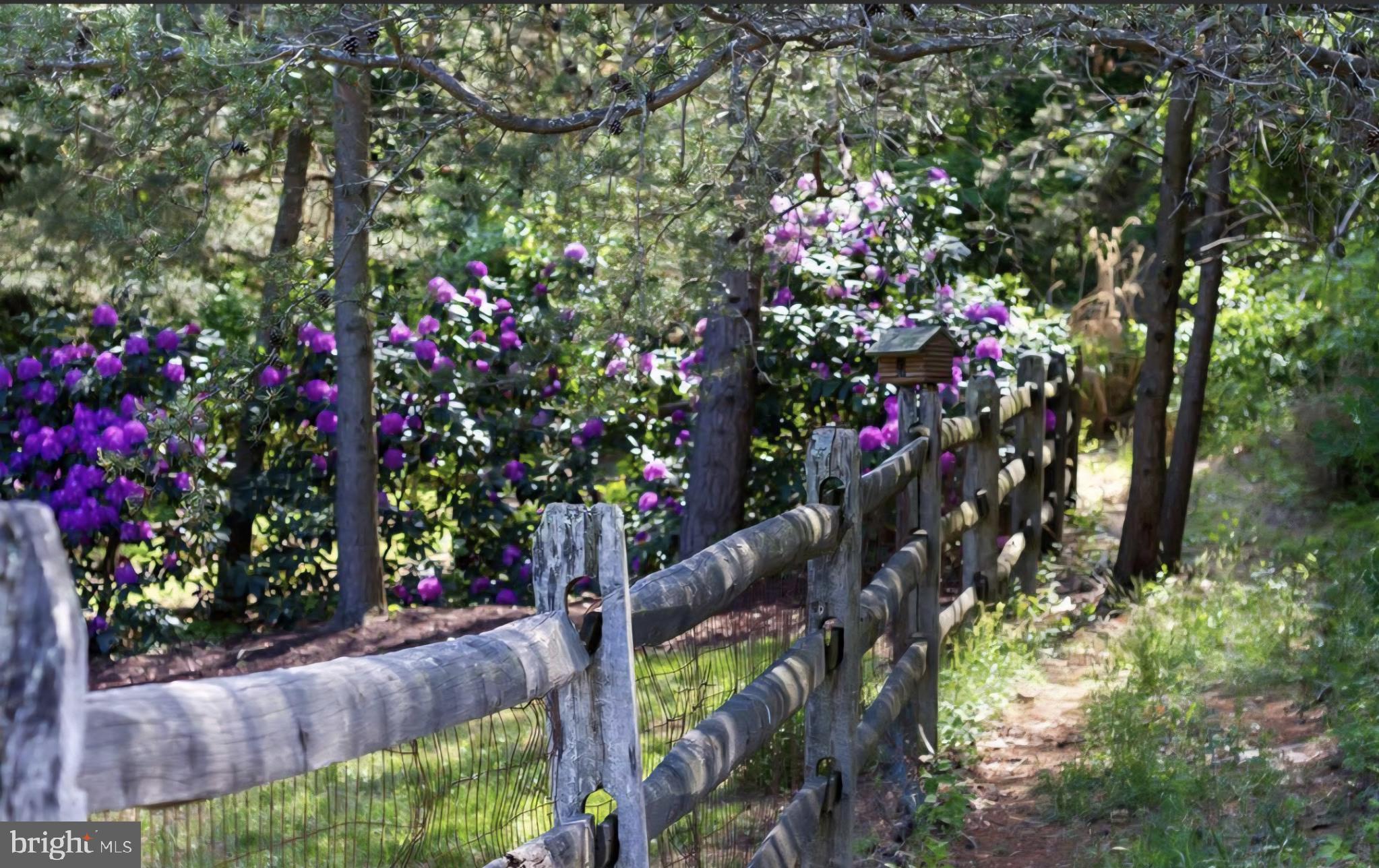 PARKTON - Residential