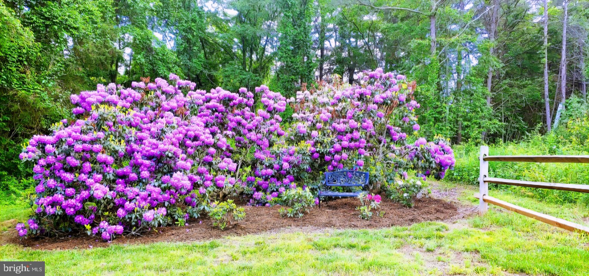 PARKTON - Residential