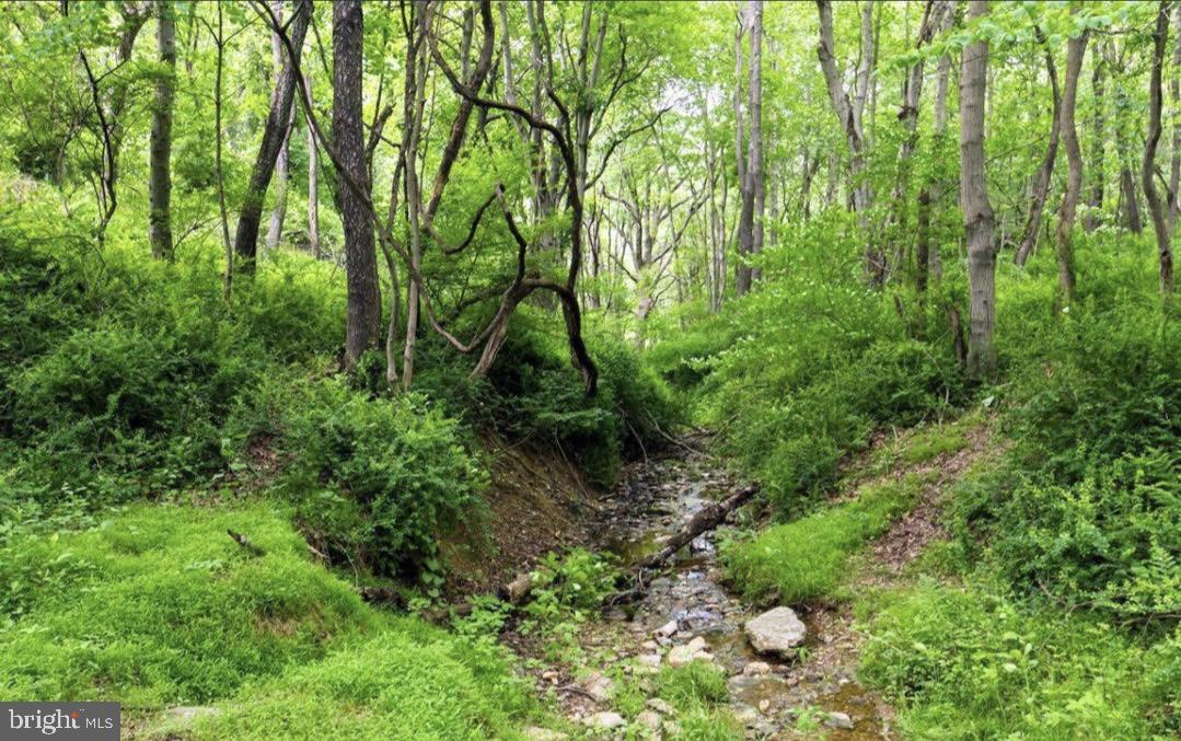 PARKTON - Residential