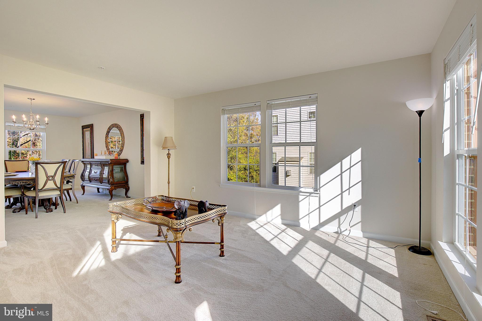 5303 CHESTNUT MANOR COURT