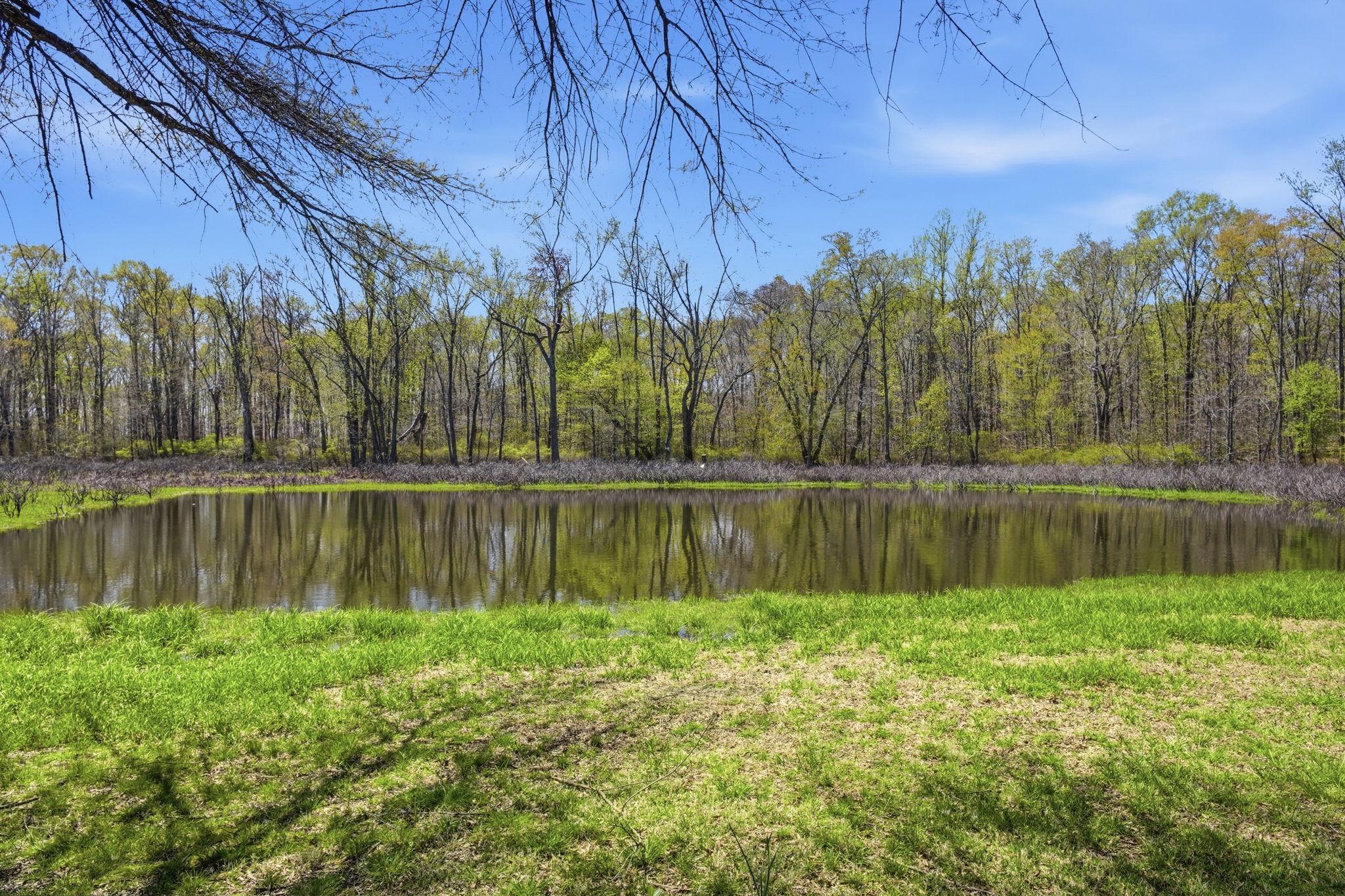 CENTREVILLE - Residential