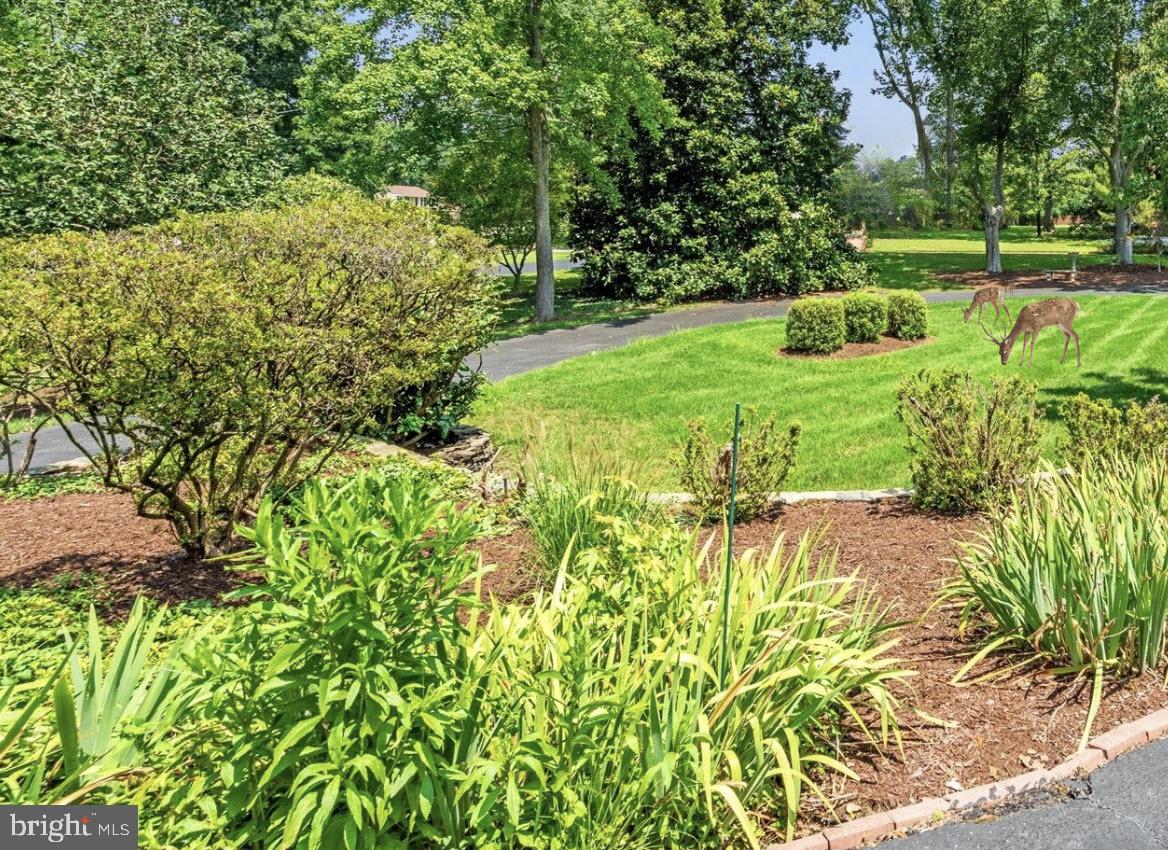 TANTALLON ON THE POTOMAC - Residential