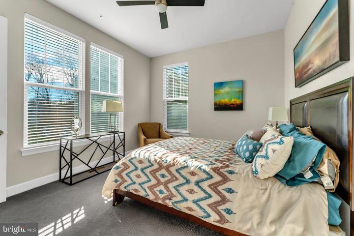 MARLBORO RIDING - Residential