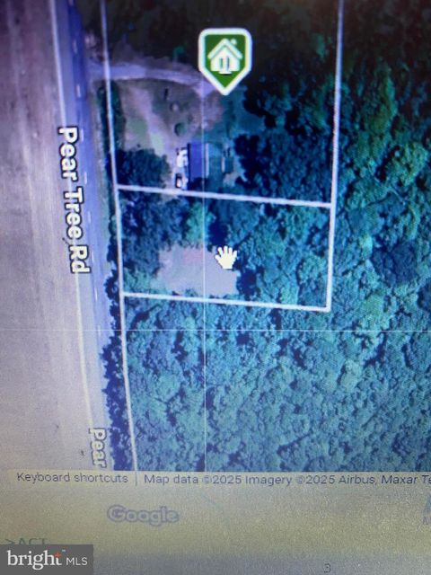 Lot 1 PEAR TREE RD MILLSBORO DE 19966