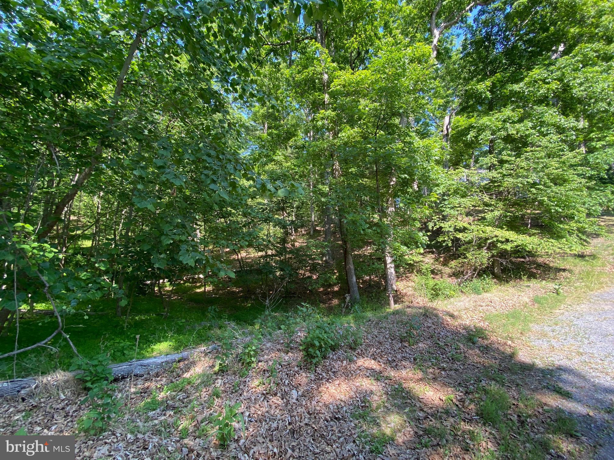 1114 LAKEVIEW DRIVE