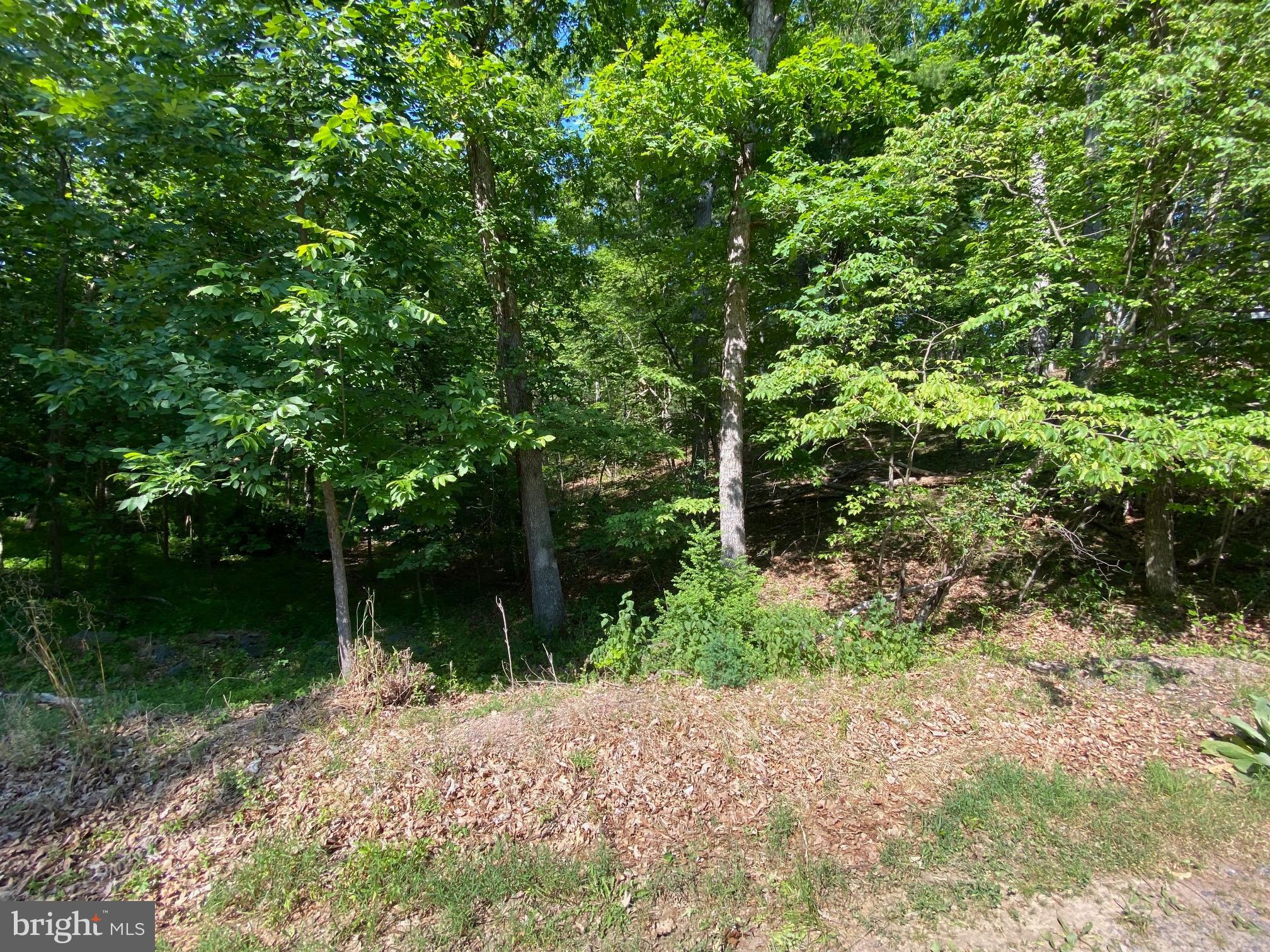 1114 LAKEVIEW DRIVE