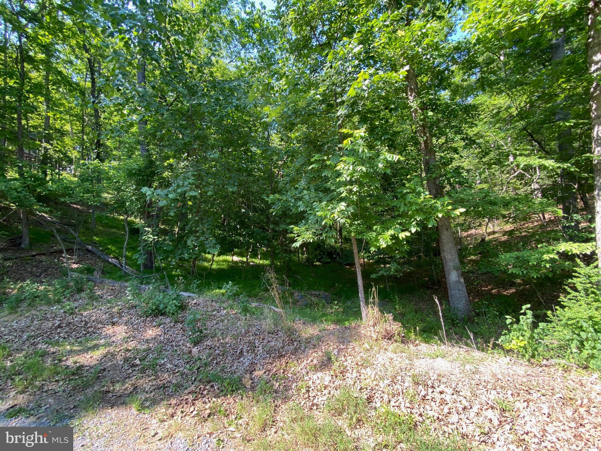 1114 LAKEVIEW DRIVE